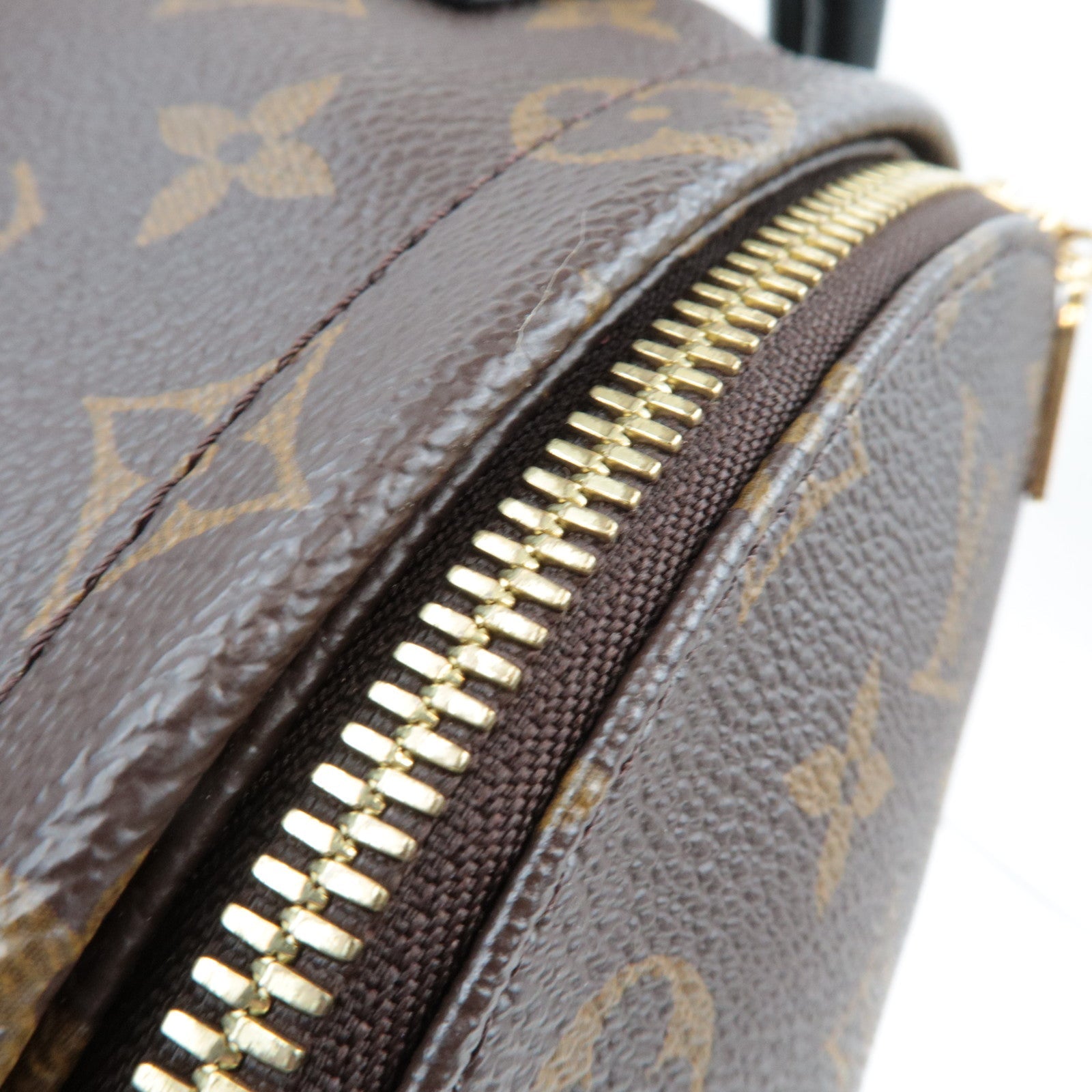 Louis Vuitton Monogram Reverse Palm Springs PM Backpack New Model M44870 FL4109