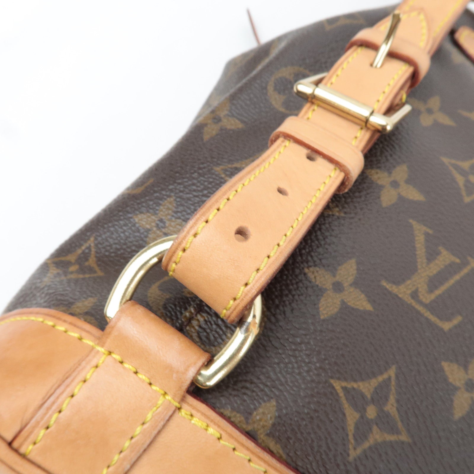 Louis Vuitton Monogram Montsouris MM Backpack M51136 SP0050