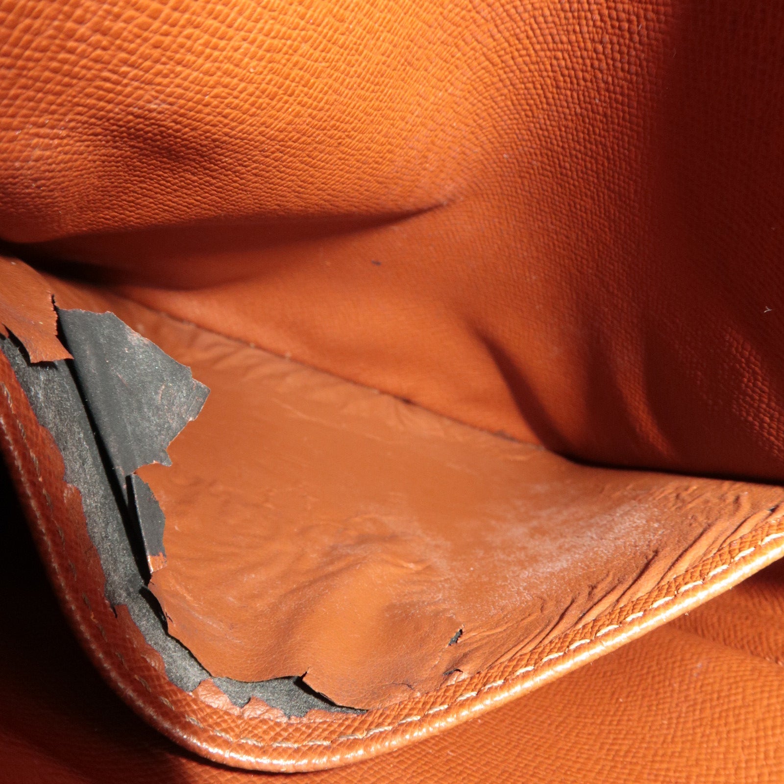 Louis Vuitton Monogram Amazon Shoulder Bag M45236 TH1021