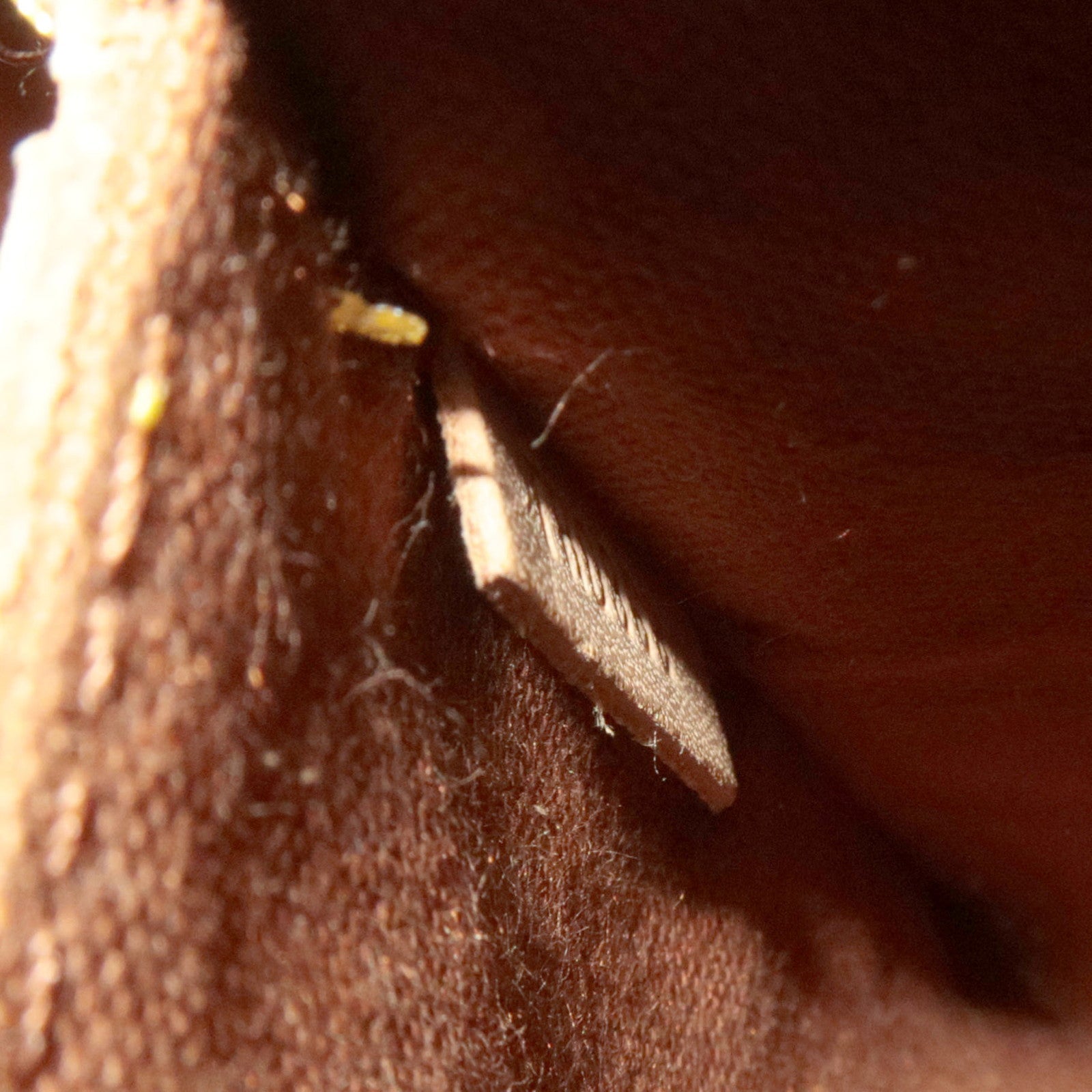 Louis Vuitton Monogram Alma Handbag M51130 TH0968