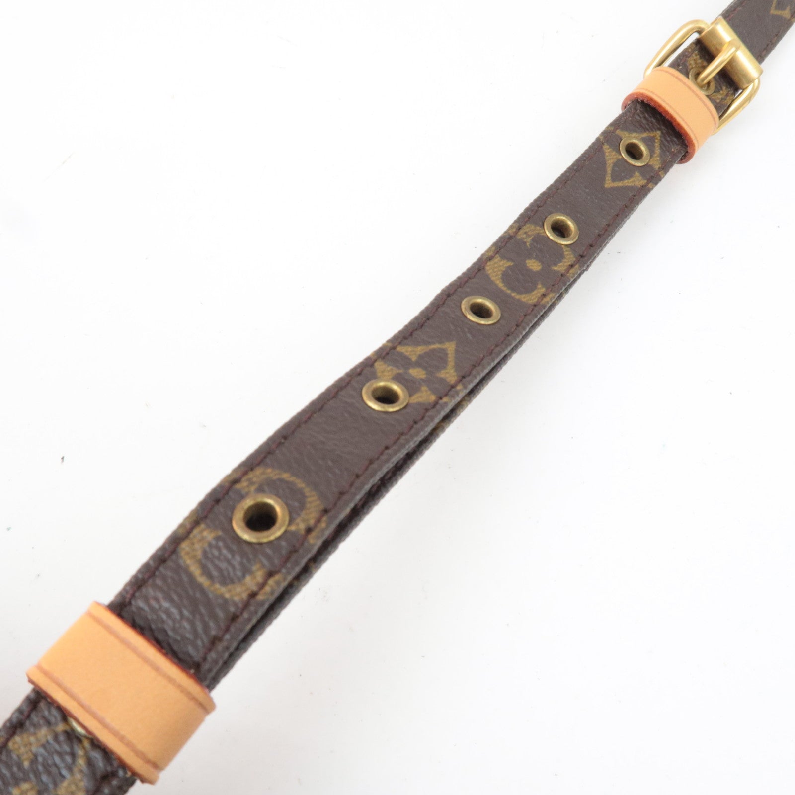 Louis Vuitton Monogram Danube Shoulder Bag M45264 AR0031