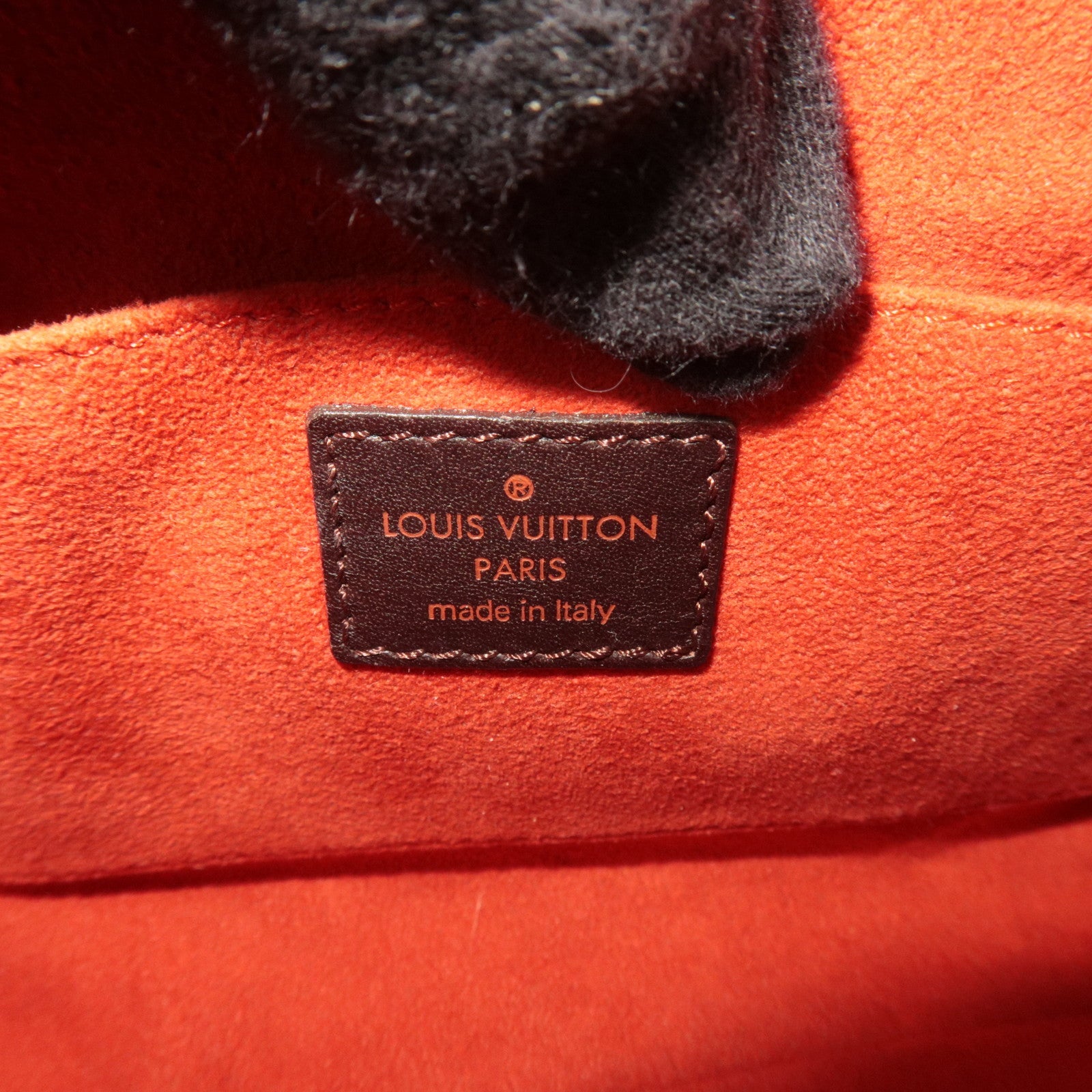 Louis Vuitton Damier Sauvage Tiger Taigle Calf Leather Handbag Beige Brown M92132 CE0051