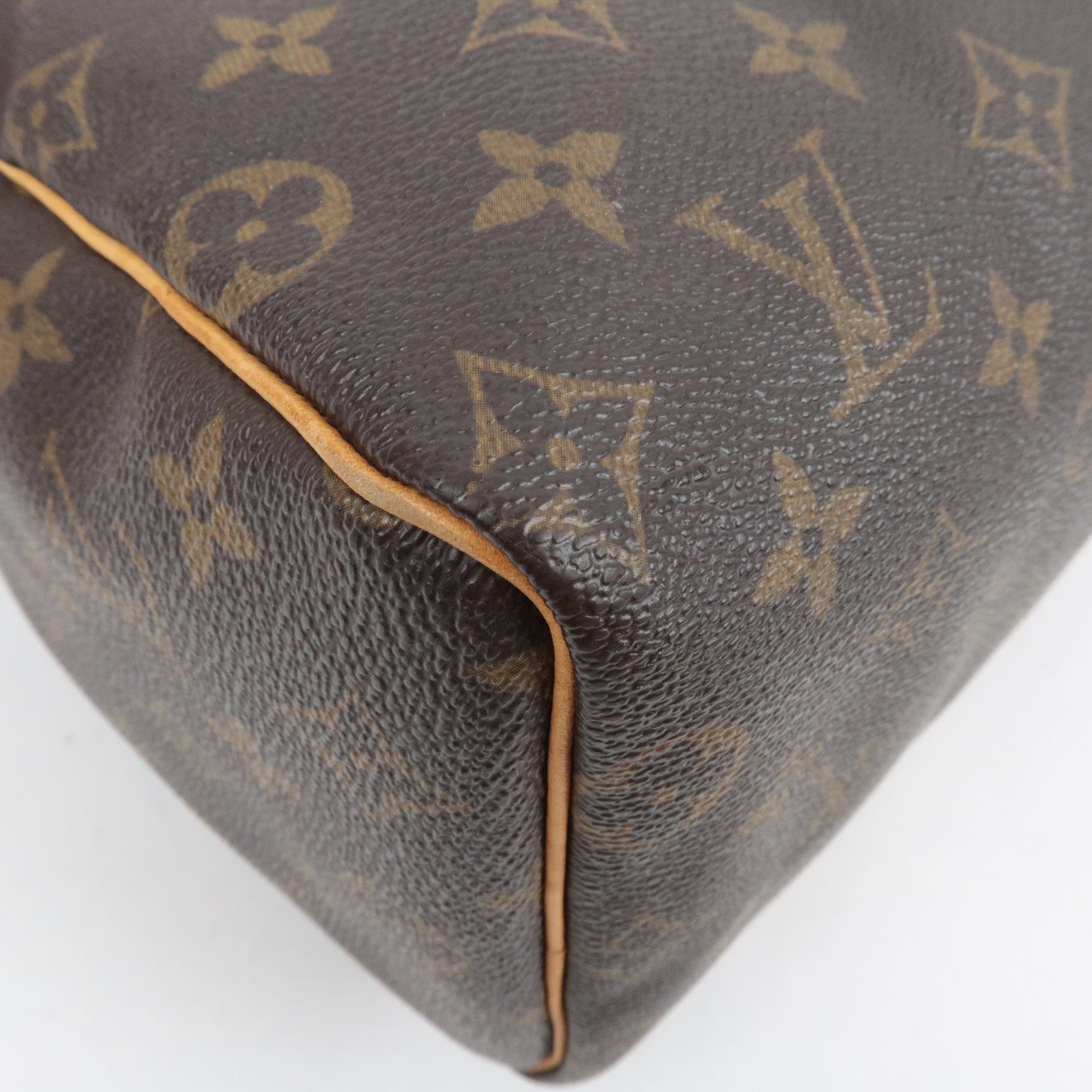 Louis Vuitton Monogram Speedy 25 Handbag M41528