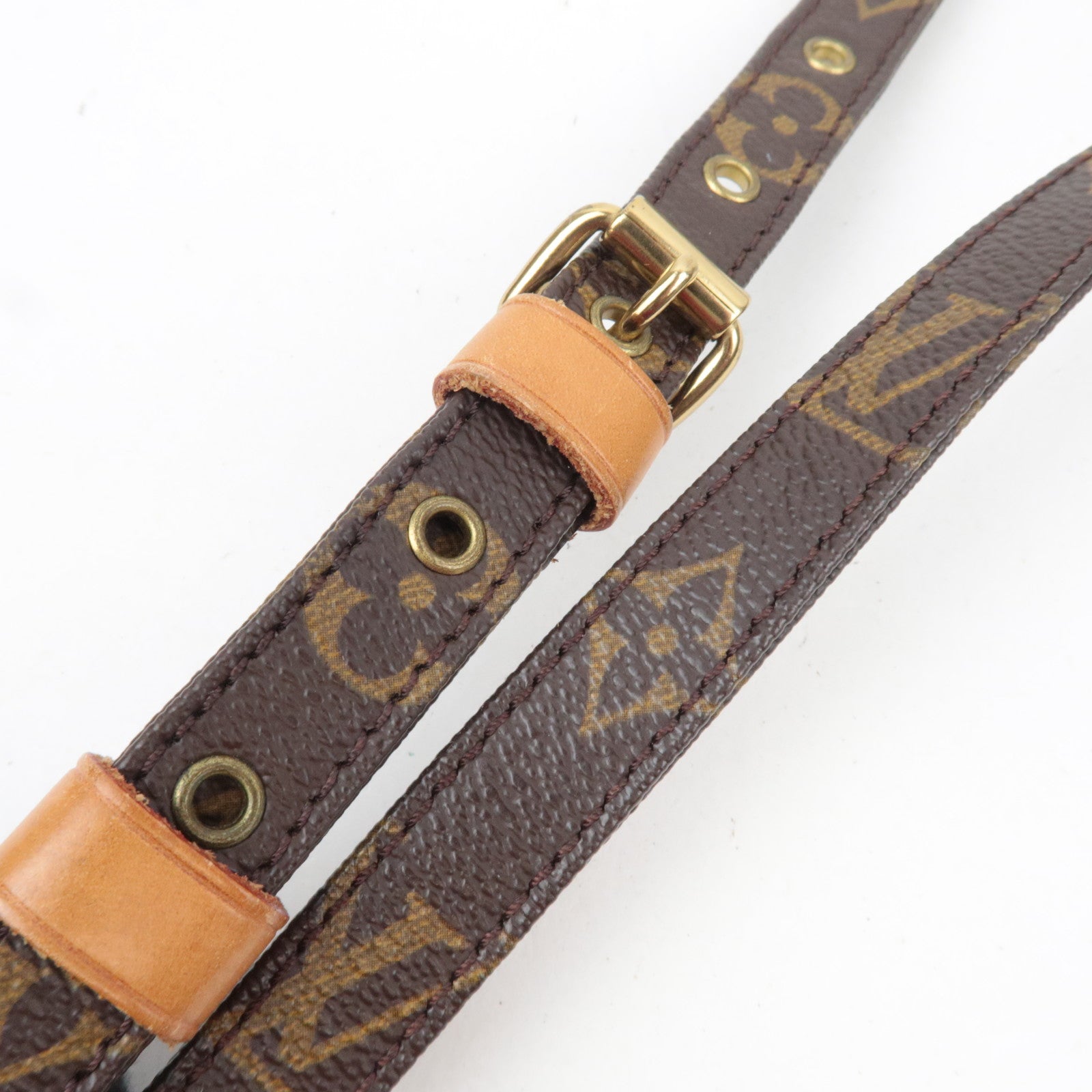 Louis Vuitton Monogram Amazon Shoulder Bag M45236