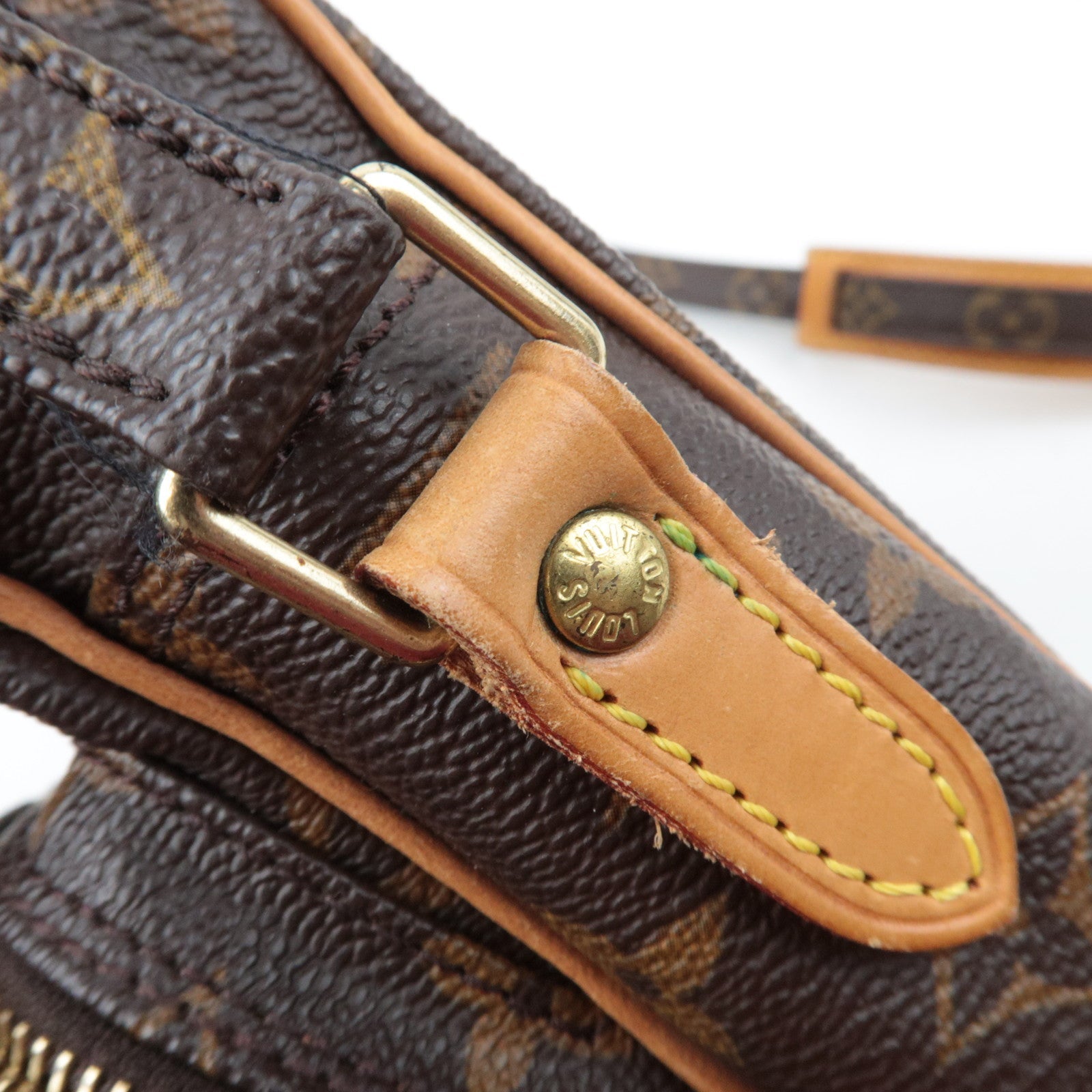 Louis Vuitton Monogram Amazon Shoulder Bag M45236