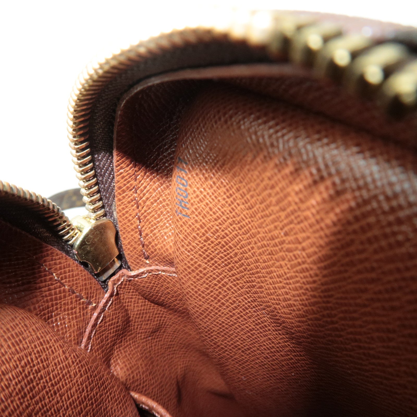 Louis Vuitton Monogram Amazon Shoulder Bag M45236