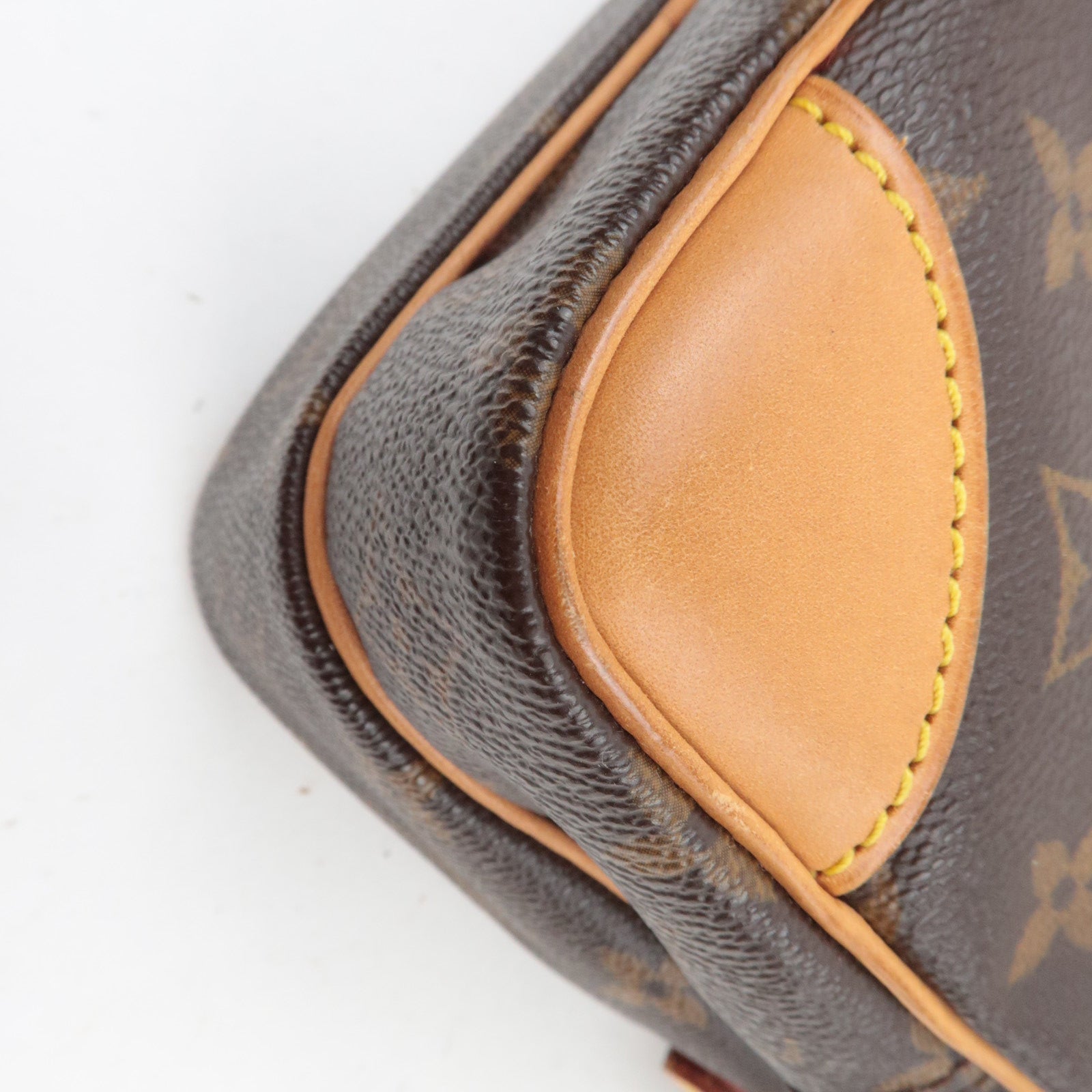 Louis Vuitton Monogram Amazon Shoulder Bag M45236