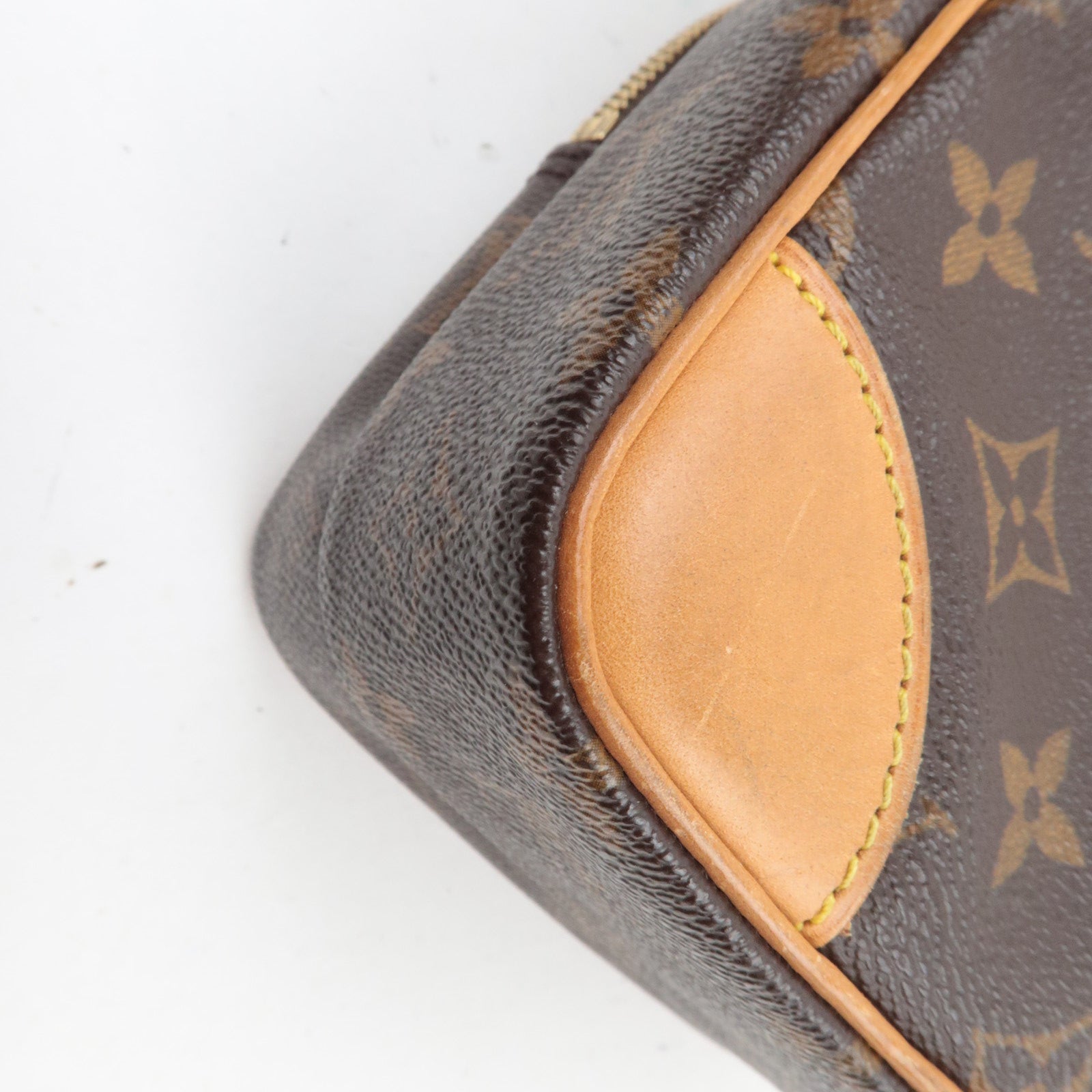 Louis Vuitton Monogram Amazon Shoulder Bag M45236