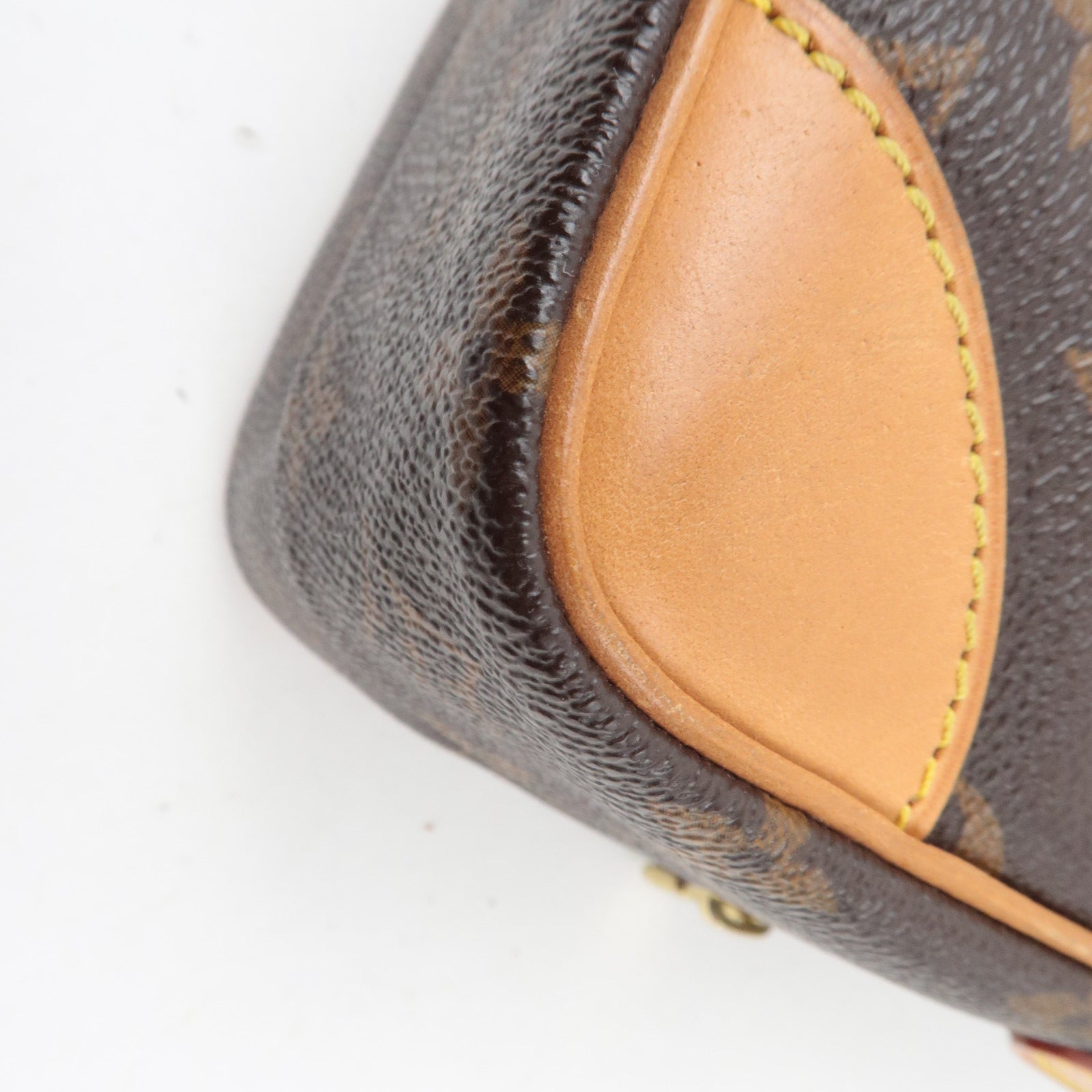 Louis Vuitton Monogram Amazon Shoulder Bag M45236