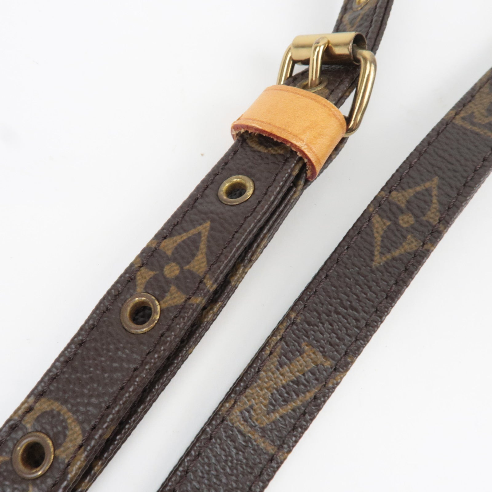 Louis Vuitton Monogram Amazon Shoulder Bag M45236