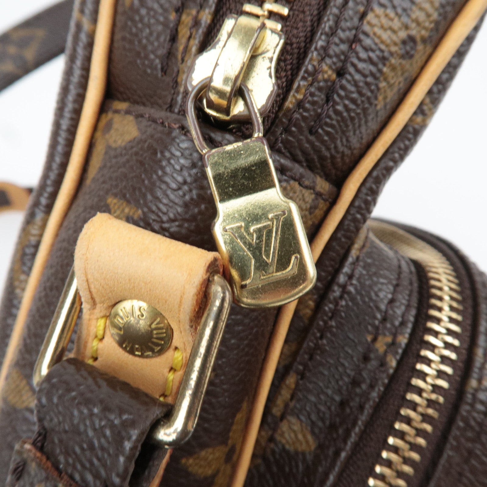 Louis Vuitton Monogram Amazon Shoulder Bag M45236