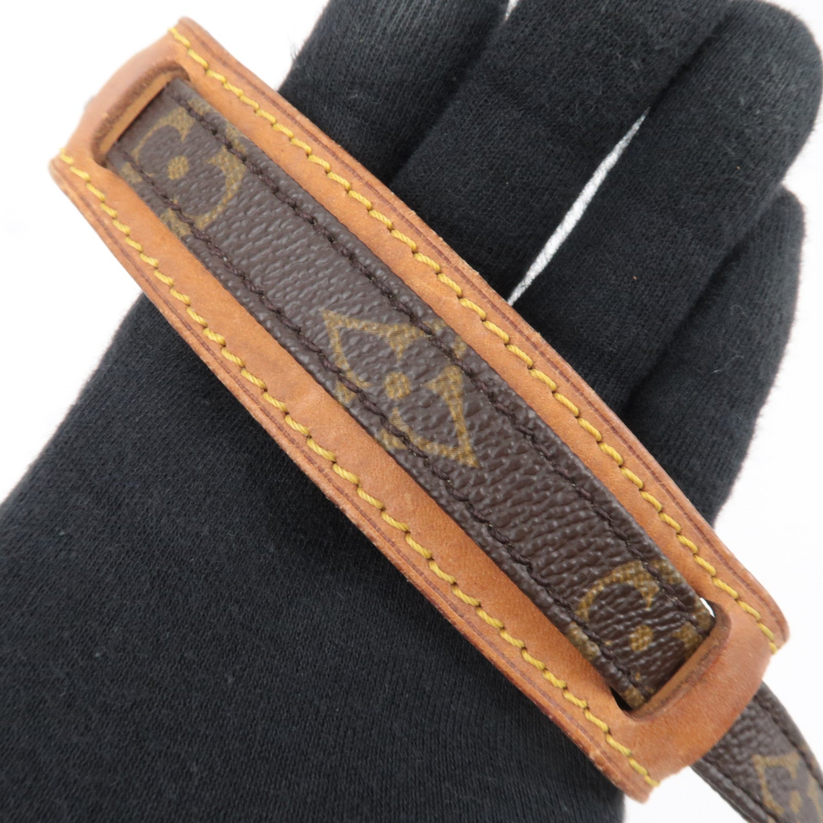 Louis Vuitton Monogram Mini Amazon Shoulder Bag M45238