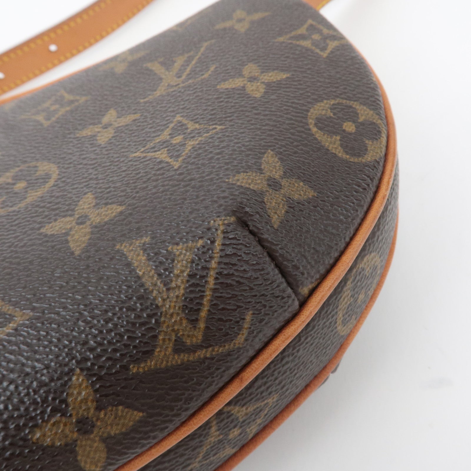 Louis Vuitton Monogram Pochette Croissant Shoulder Bag M51510