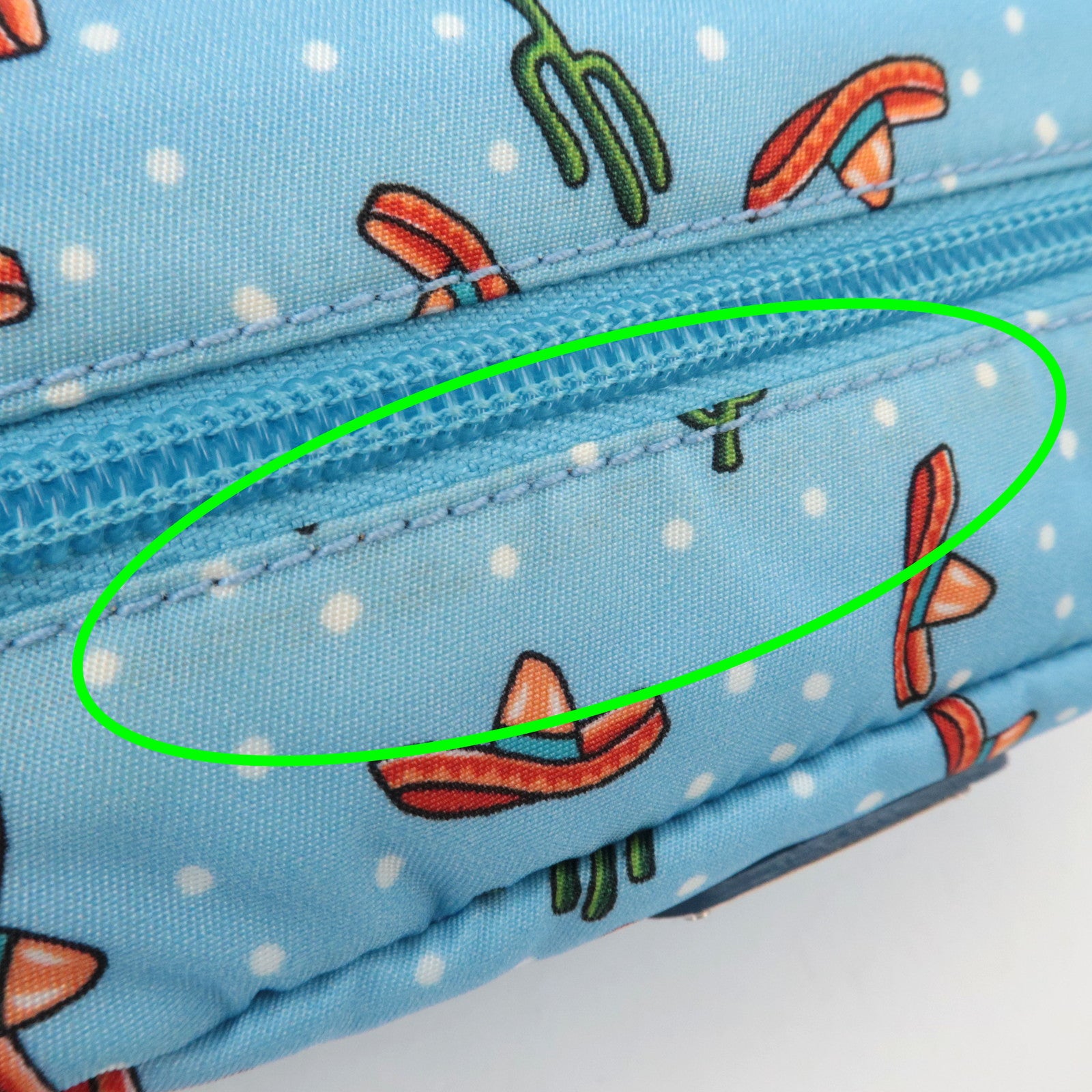 PRADA Cactus Print Small Pouch Nylon Leather Light Blue