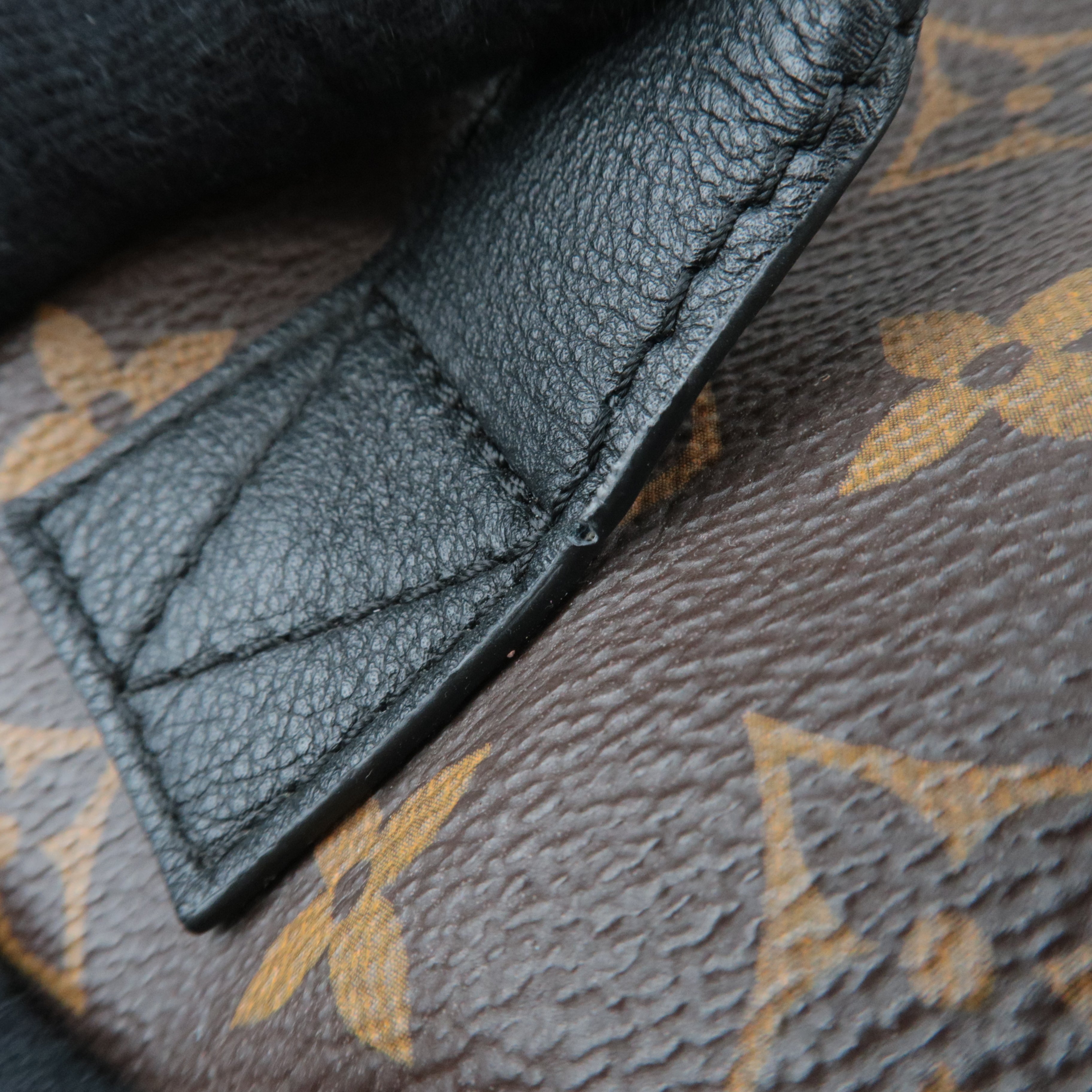 Louis Vuitton Monogram Palm Springs PMm Backpack M41560