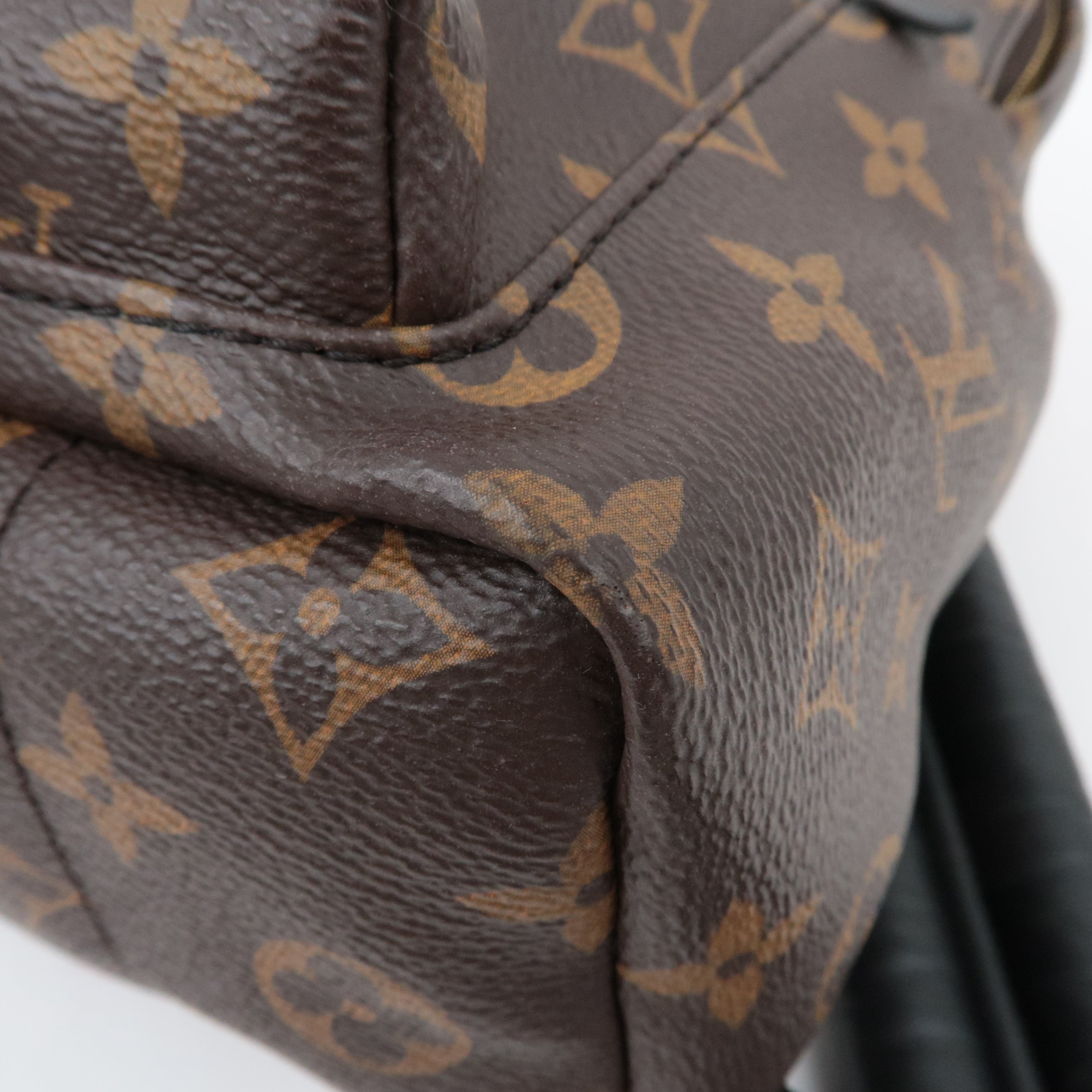 Louis Vuitton Monogram Palm Springs PMm Backpack M41560