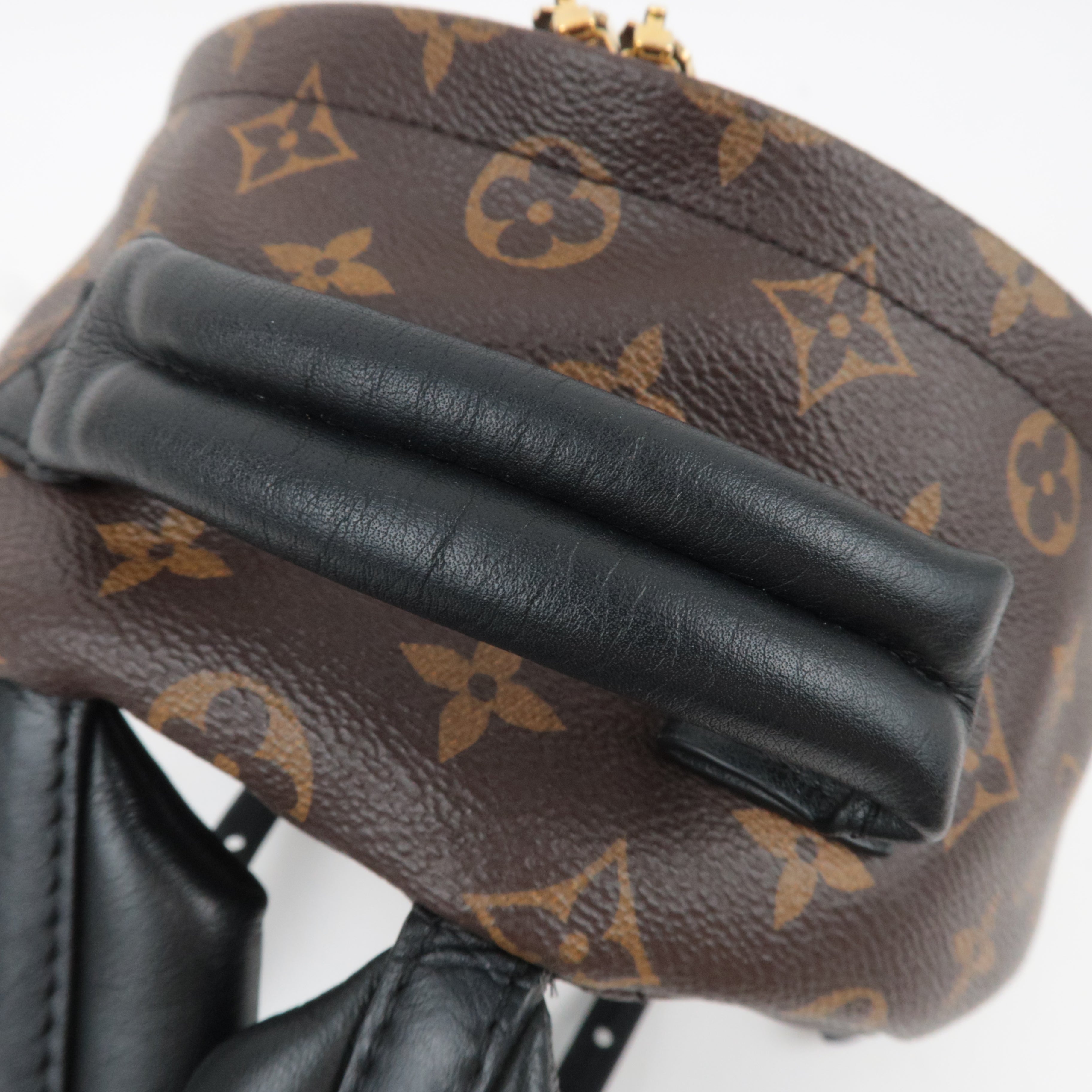 Louis Vuitton Monogram Palm Springs PMm Backpack M41560