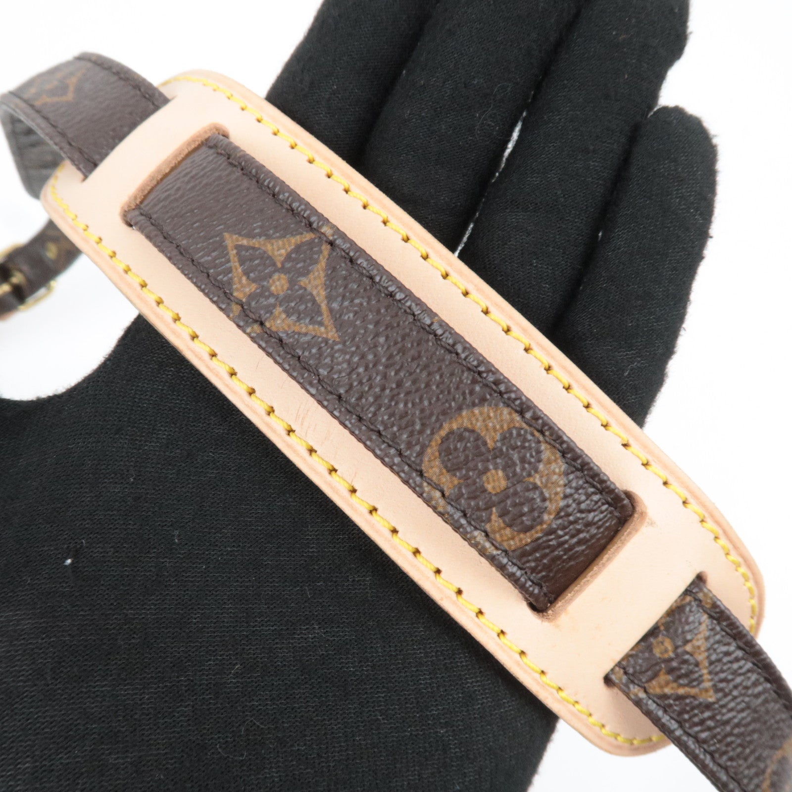 Louis Vuitton Monogram Nile Shoulder Bag M45244