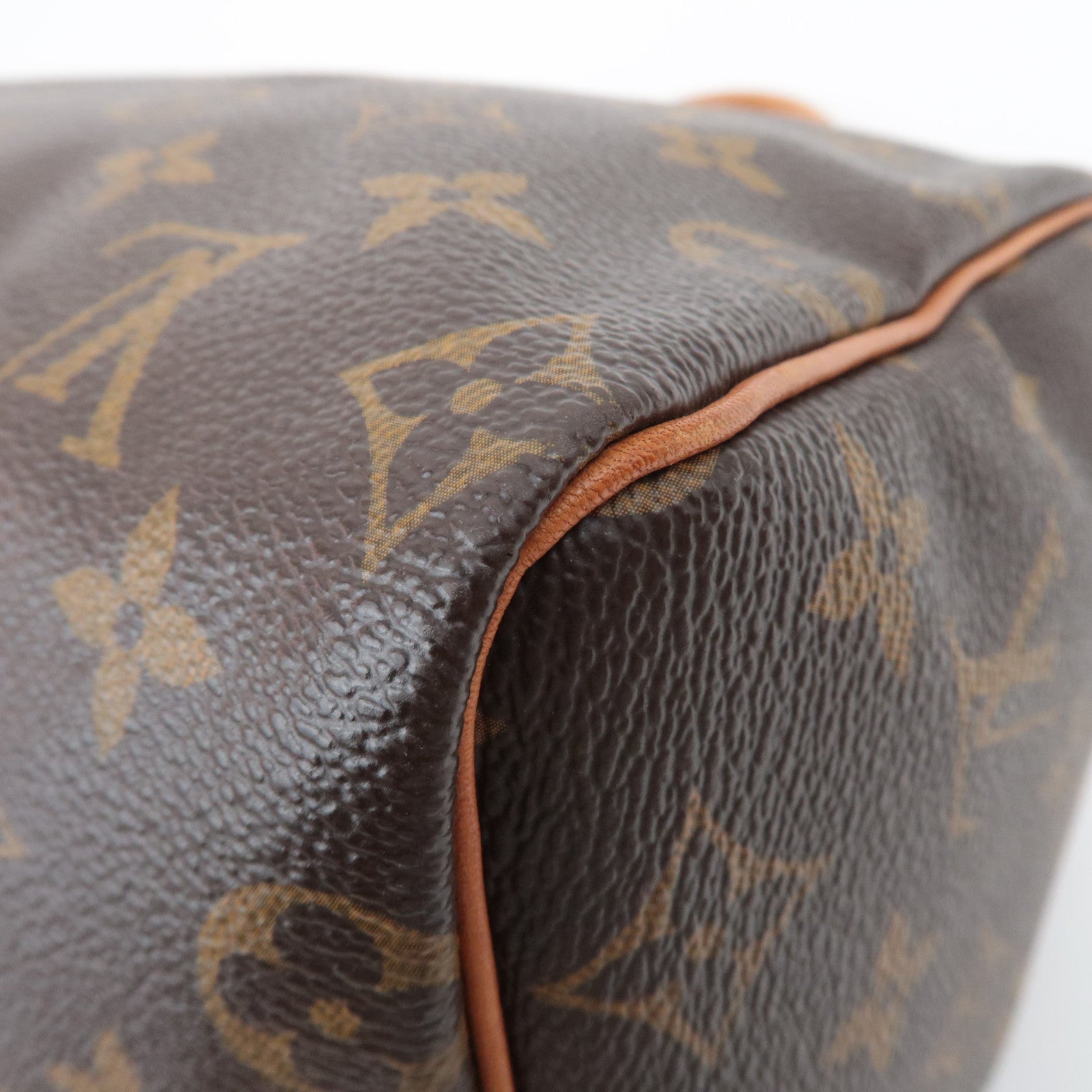 Louis Vuitton Monogram Speedy 25 Handbag M41528