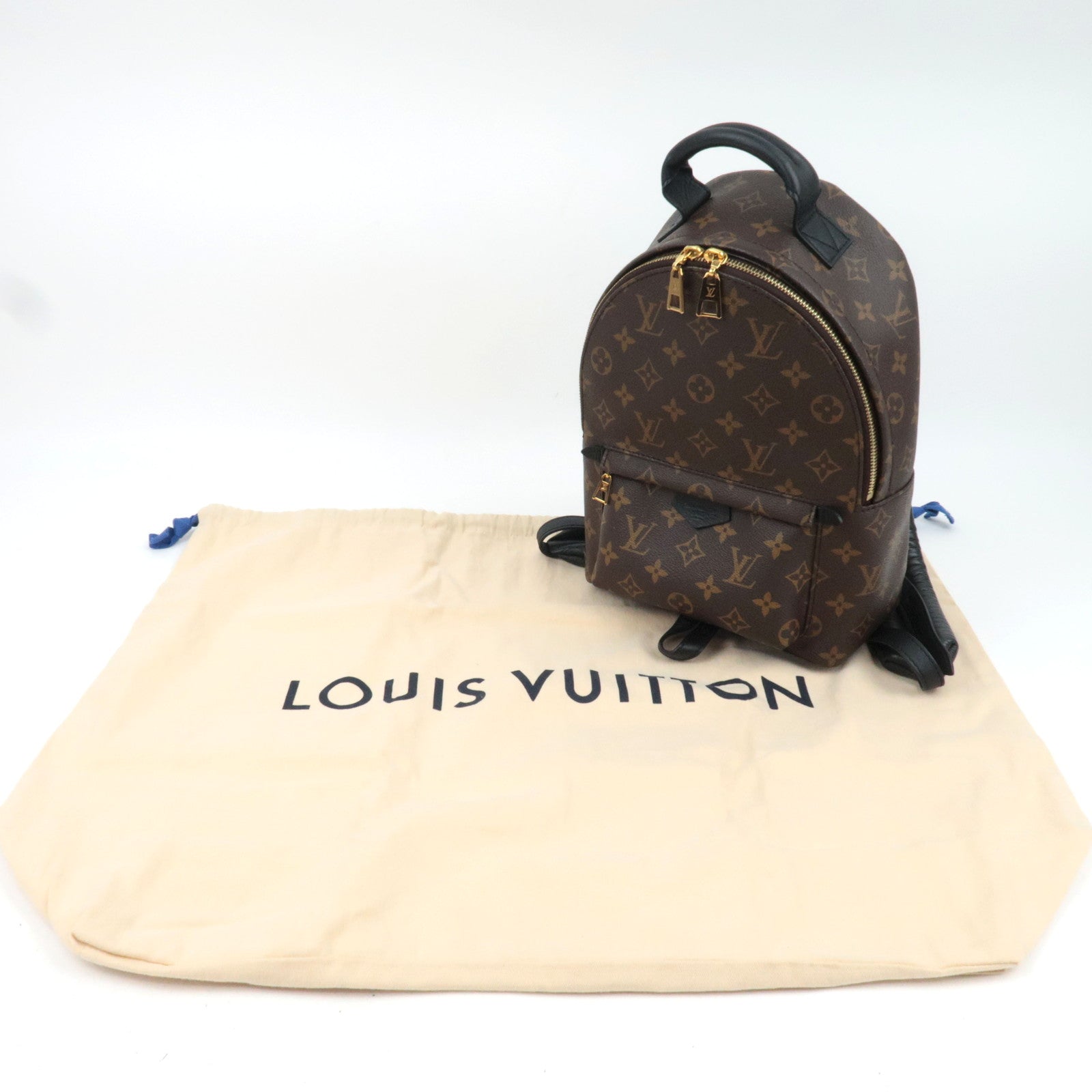 Louis Vuitton Monogram Palm Springs Backpack PM New Model M44871