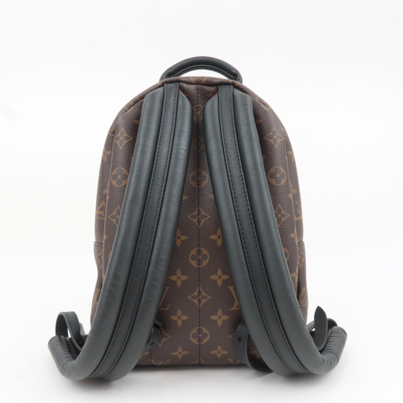 Louis Vuitton Monogram Palm Springs Backpack PM New Model M44871