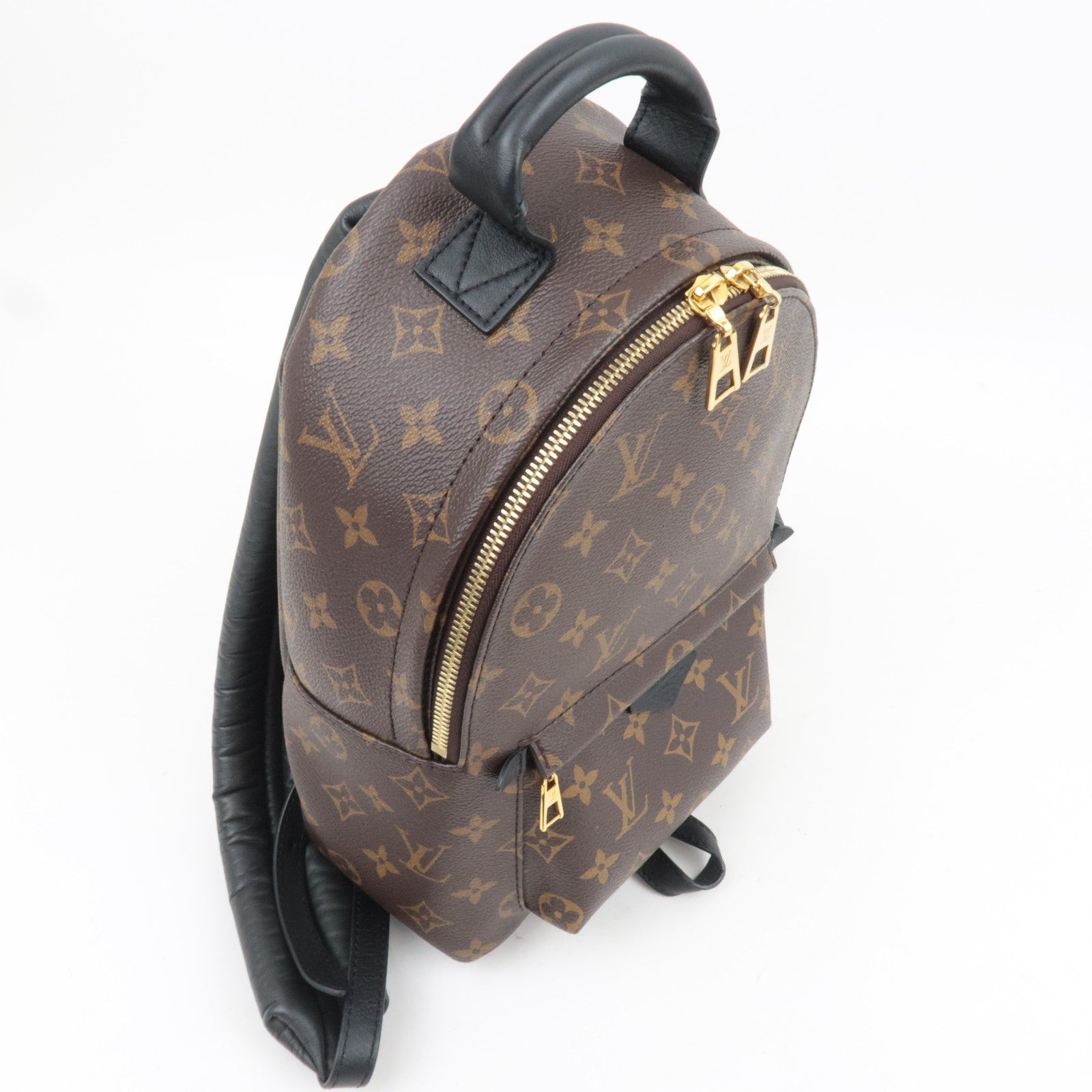 Louis Vuitton Monogram Palm Springs Backpack PM New Model M44871