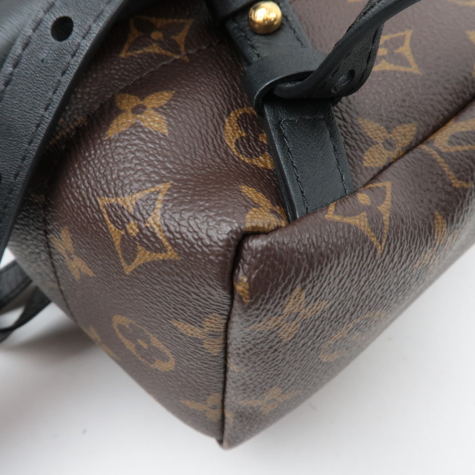 Louis Vuitton Monogram Palm Springs Backpack PM New Model M44871