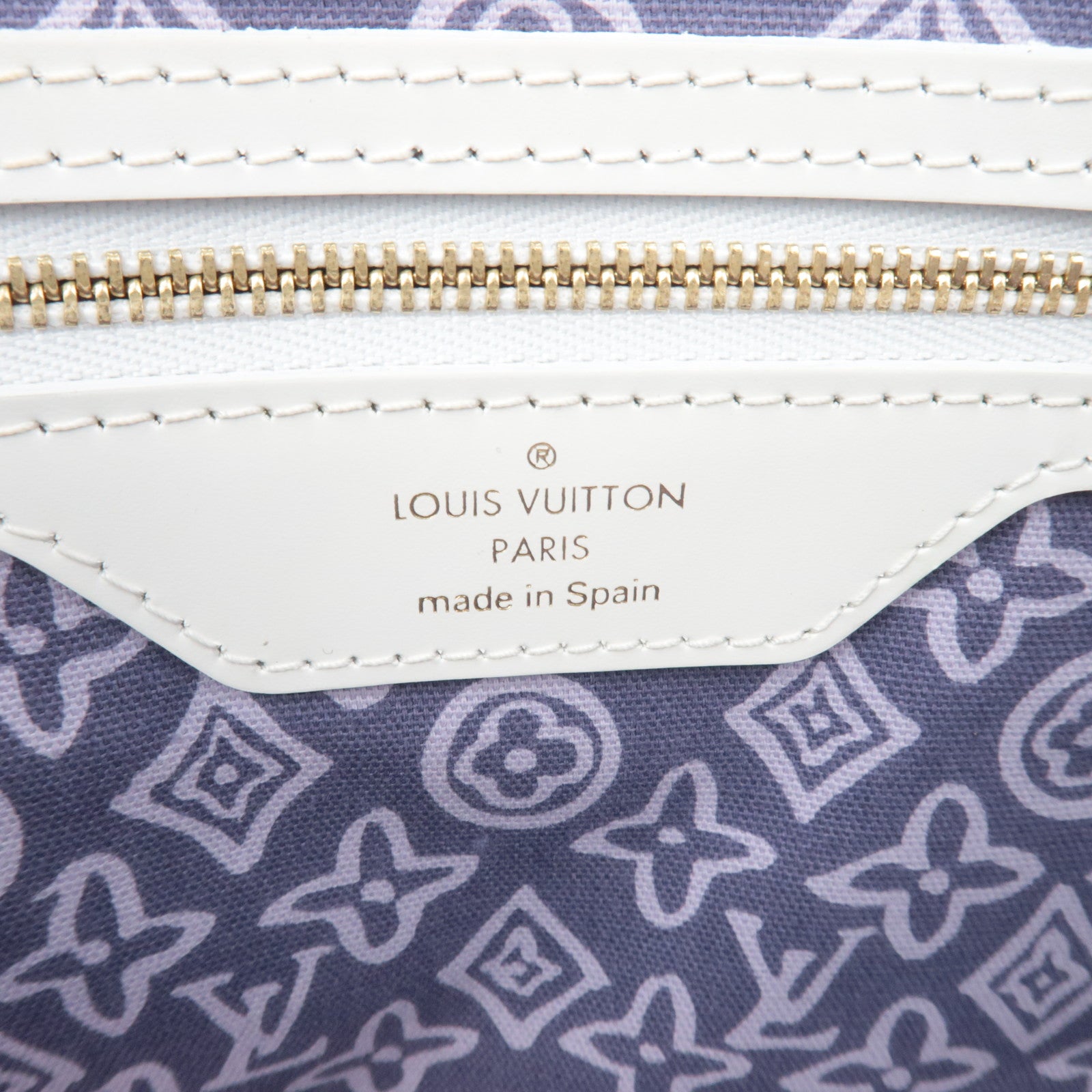 Louis Vuitton Cruise Line Tahitienne PM Tote Bag Lila M95680