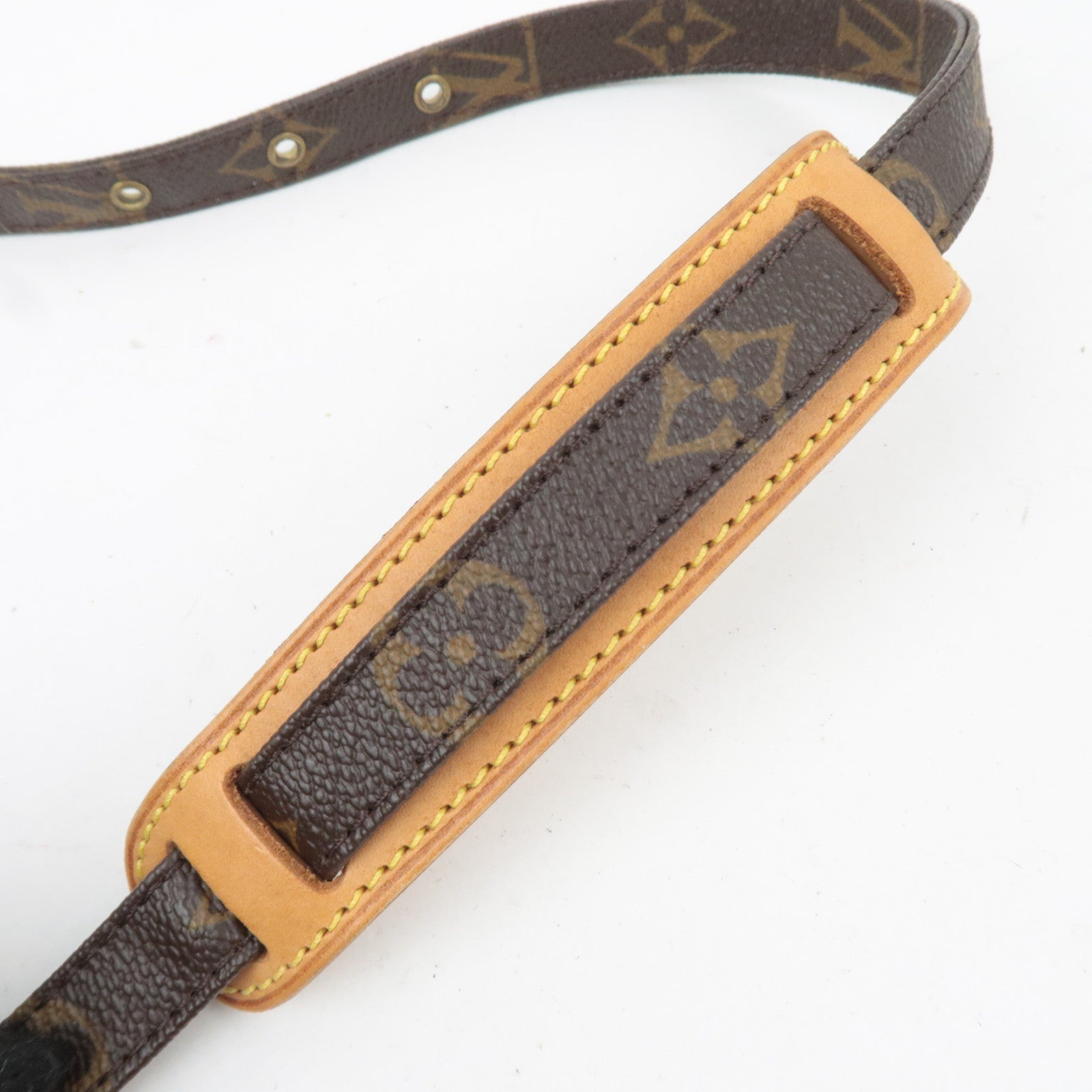 Louis Vuitton Monogram Amazon Shoulder Bag M45236