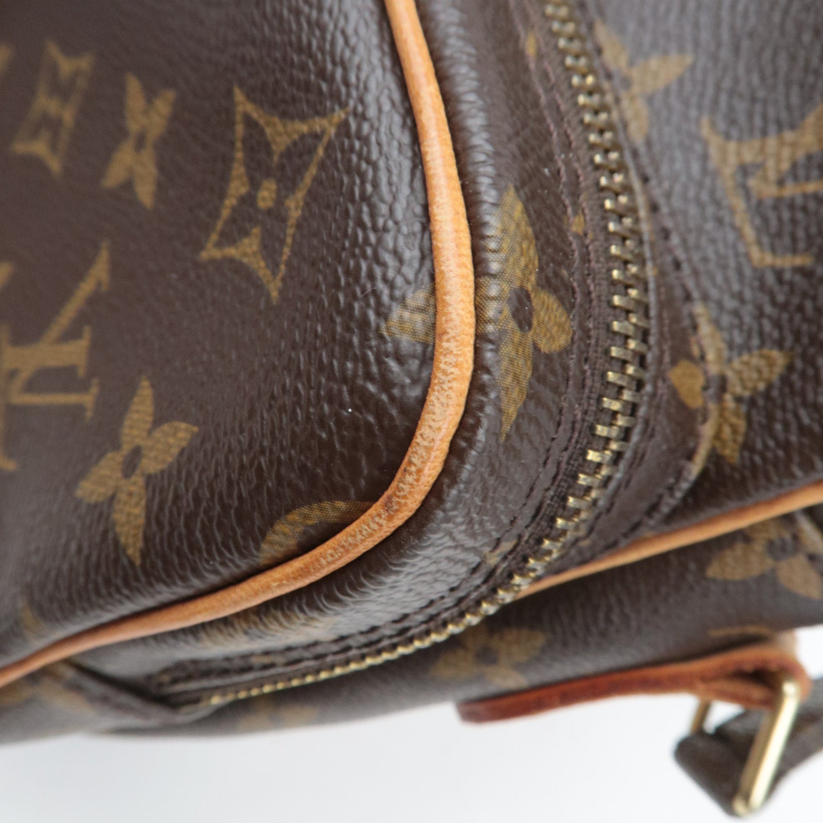 Louis Vuitton Monogram Amazon Shoulder Bag M45236