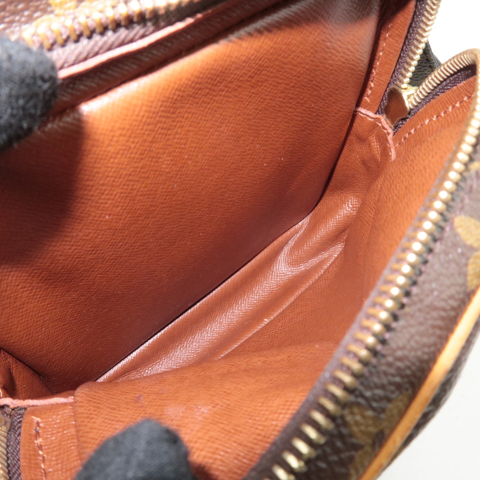 Louis Vuitton Monogram Amazon Shoulder Bag M45236