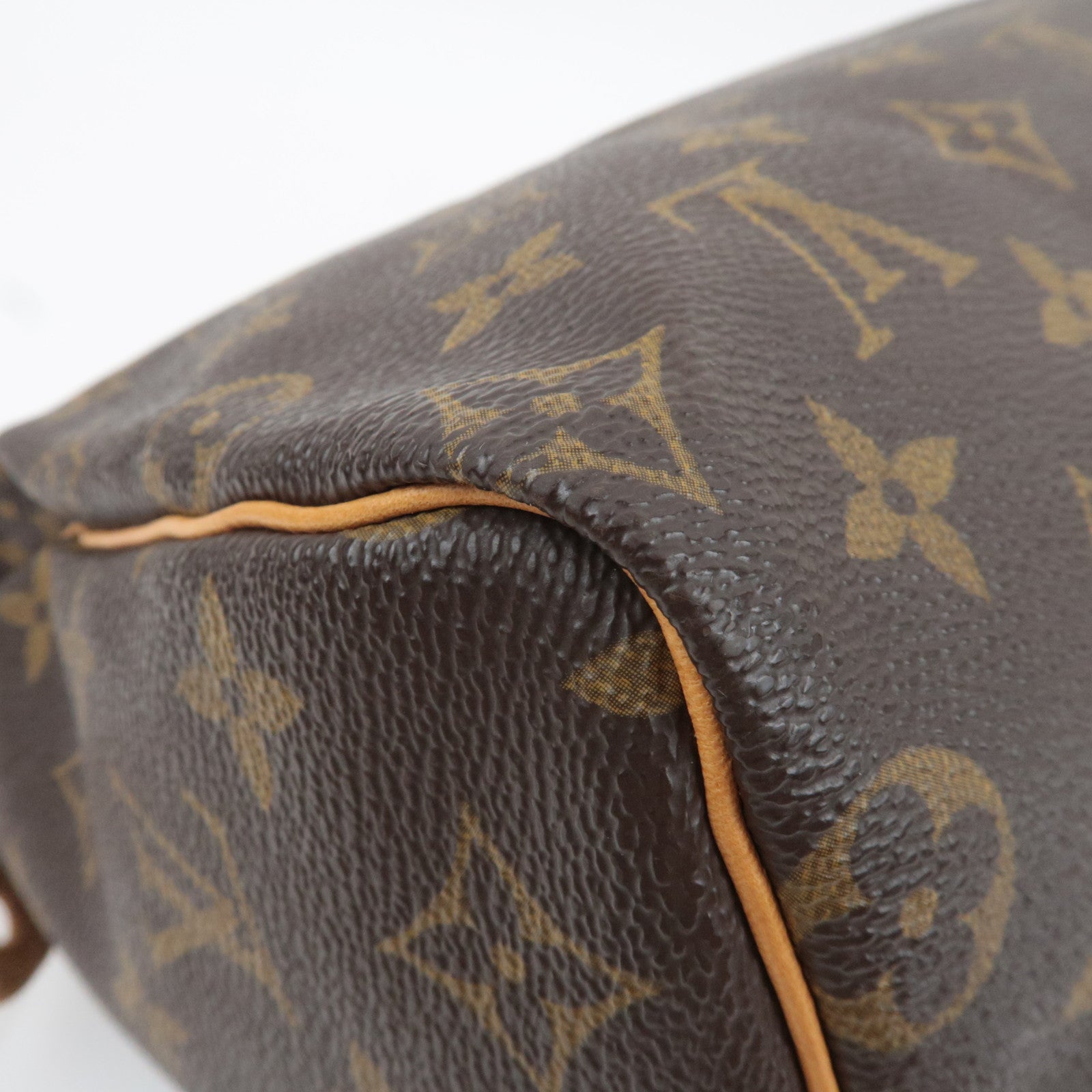 Louis Vuitton Monogram Speedy 25 Handbag M41528