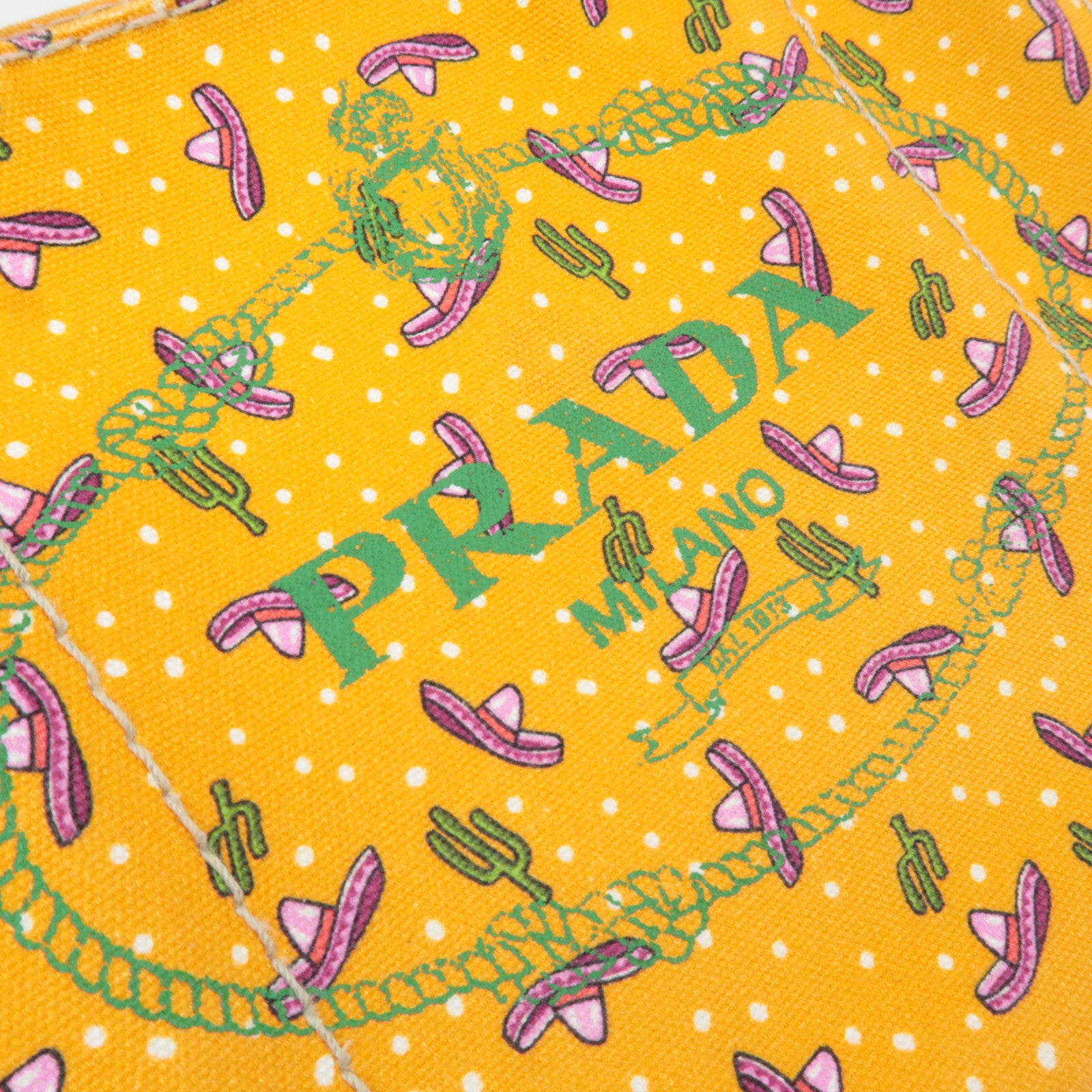 PRADA Canapa Mini Tote Bag Cactus Print Orange 1BG439
