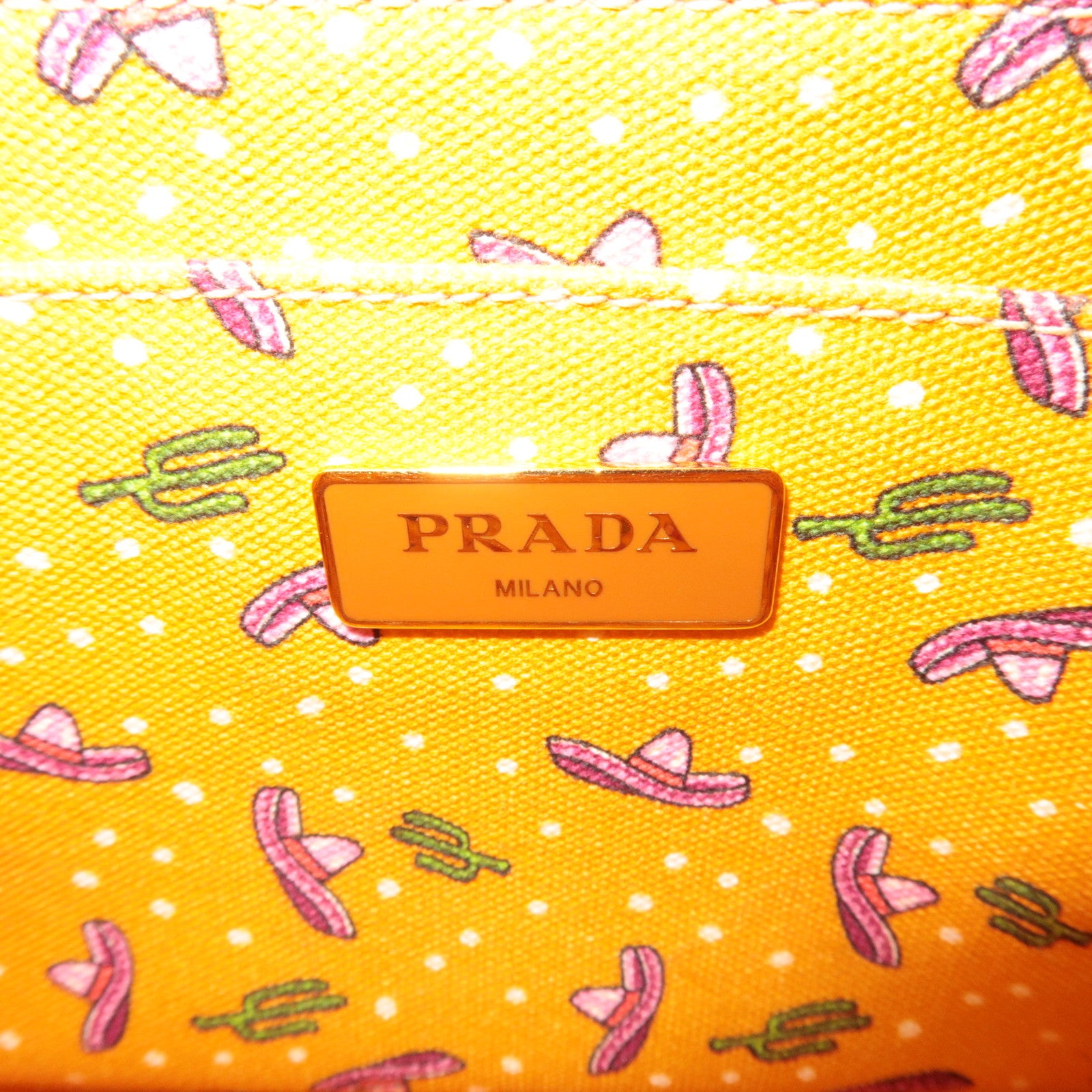 PRADA Canapa Mini Tote Bag Cactus Print Orange 1BG439