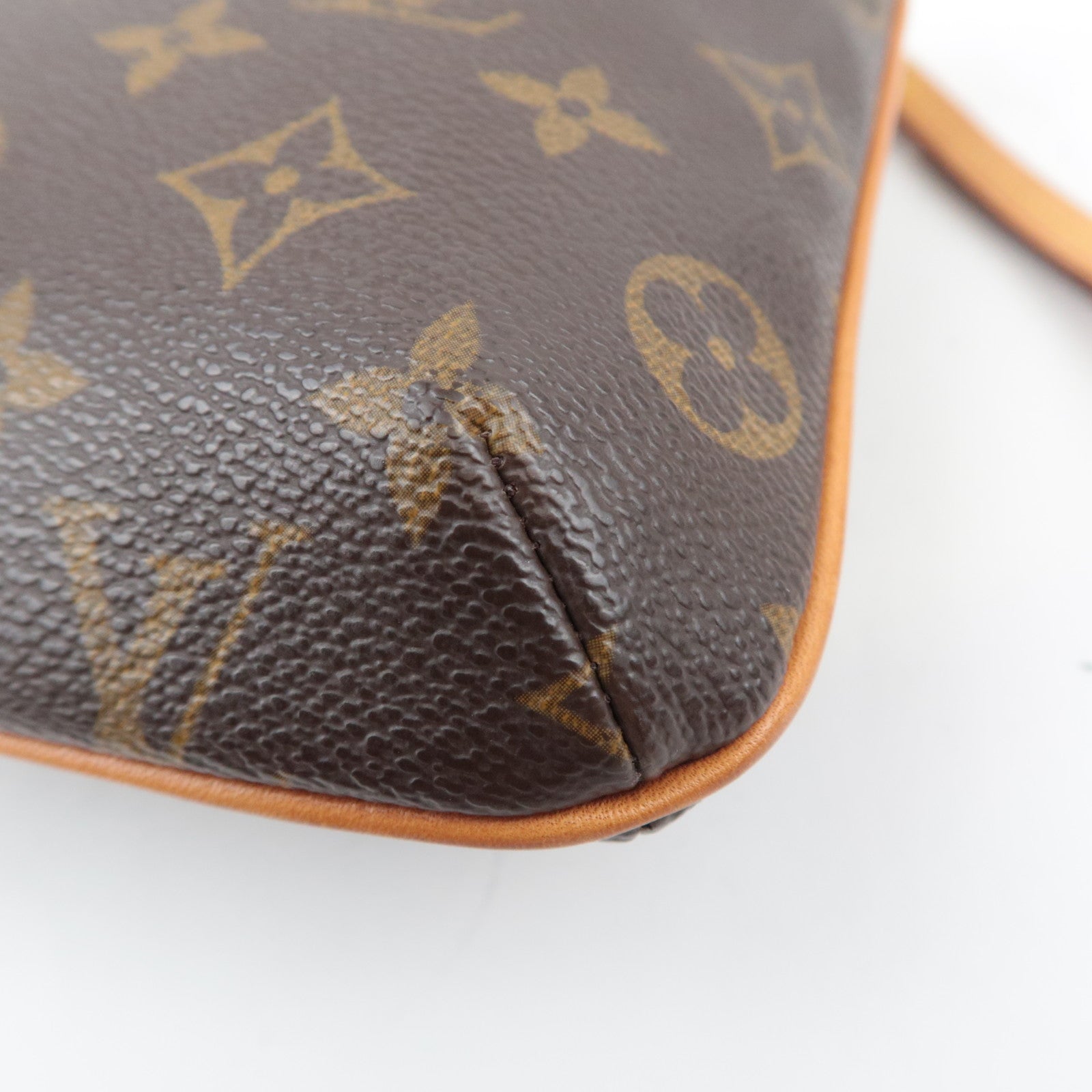 Louis Vuitton Monogram Partition Wristlet M51901