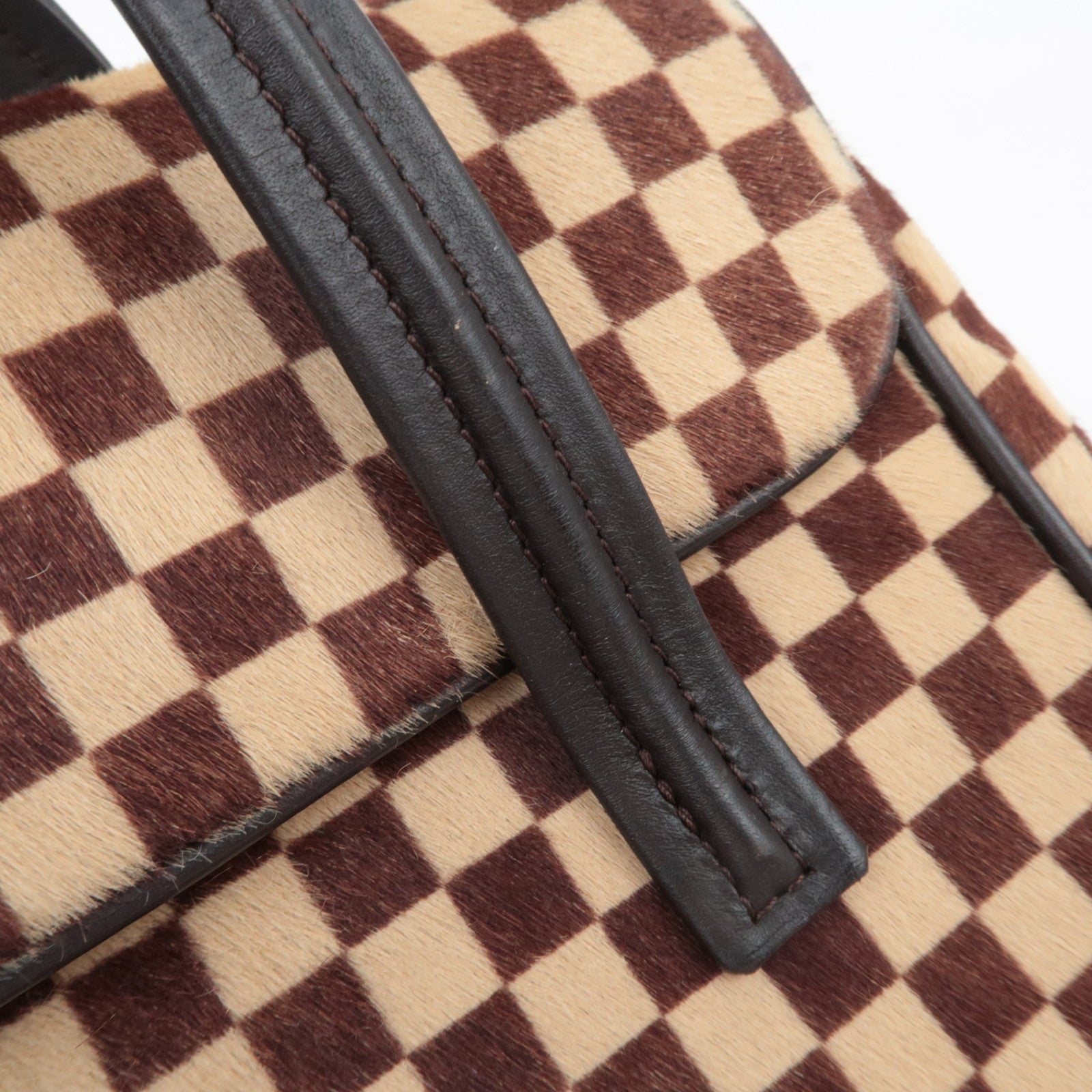Louis Vuitton Damier Sauvage Lion Handbag Brown M92131