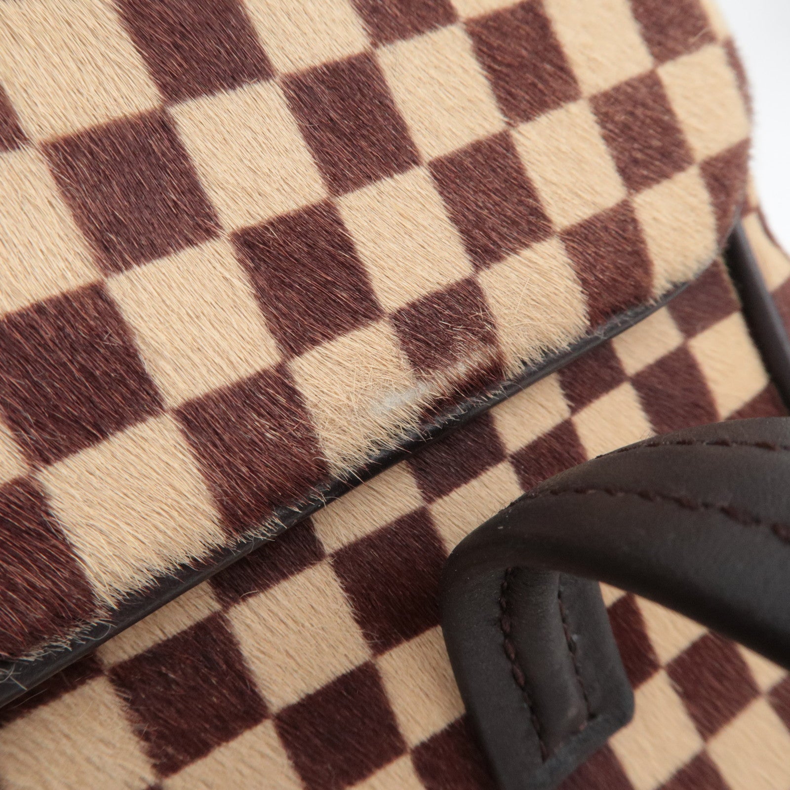 Louis Vuitton Damier Sauvage Lion Handbag Brown M92131