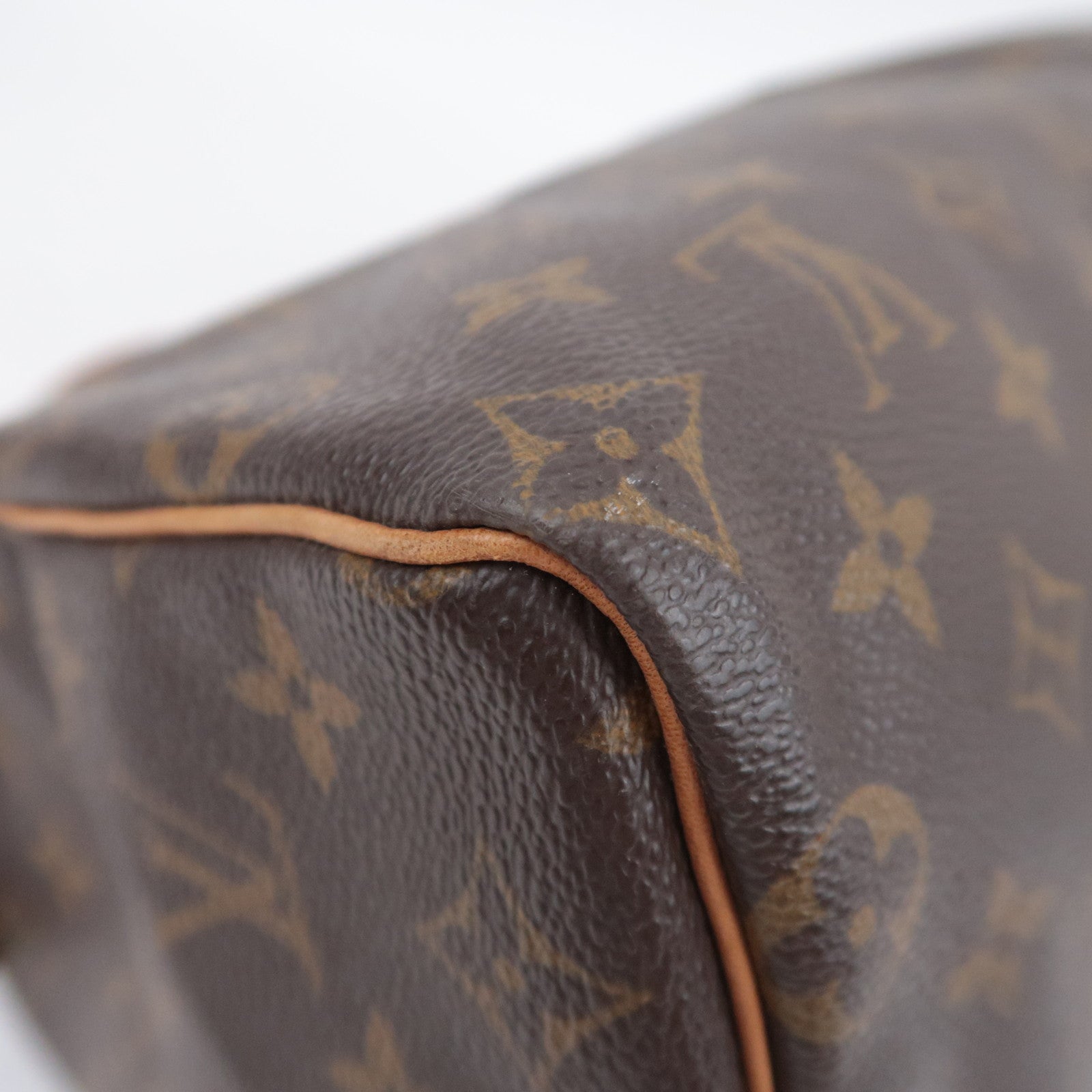 Louis Vuitton Monogram Speedy 25 Handbag M41528