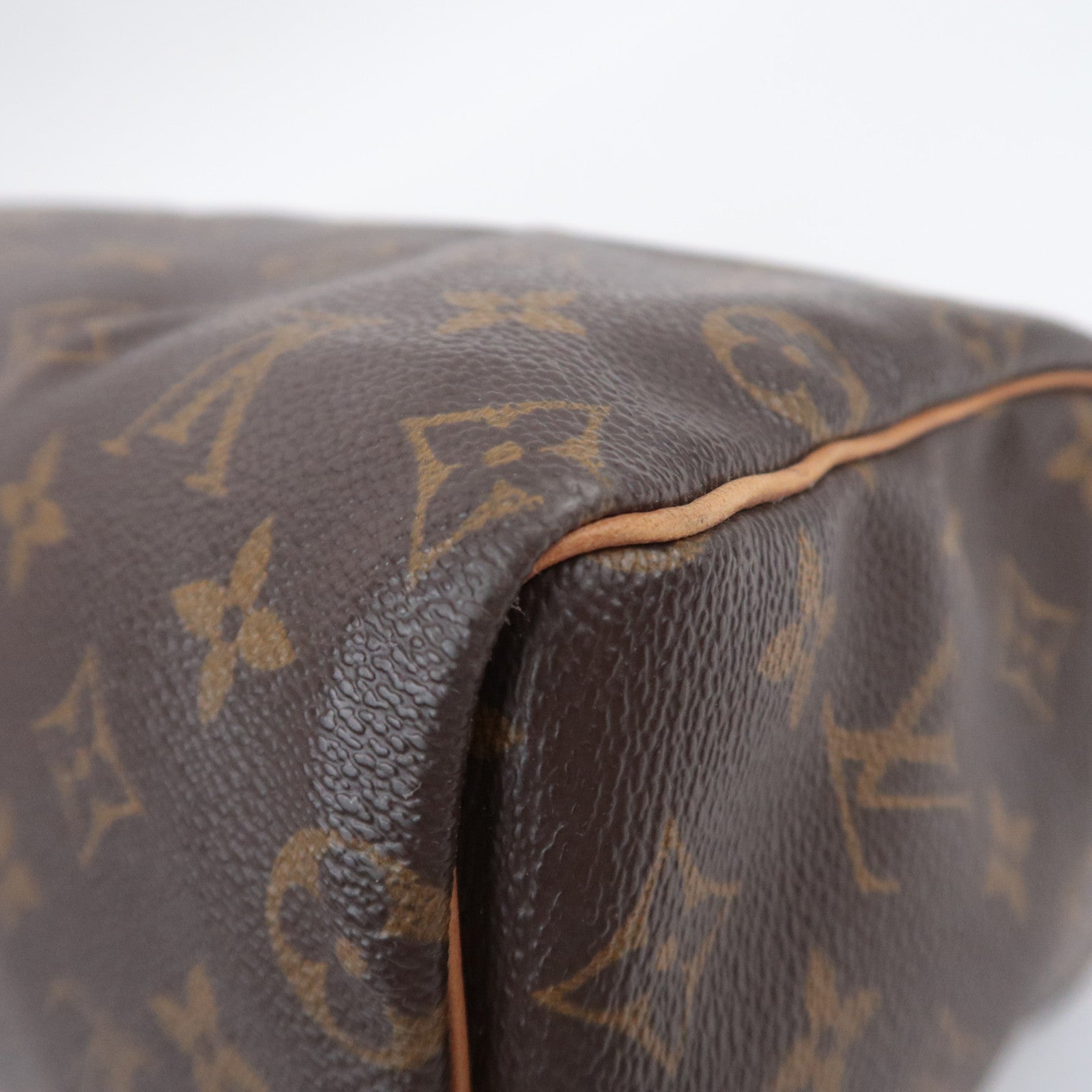 Louis Vuitton Monogram Speedy 25 Handbag M41528