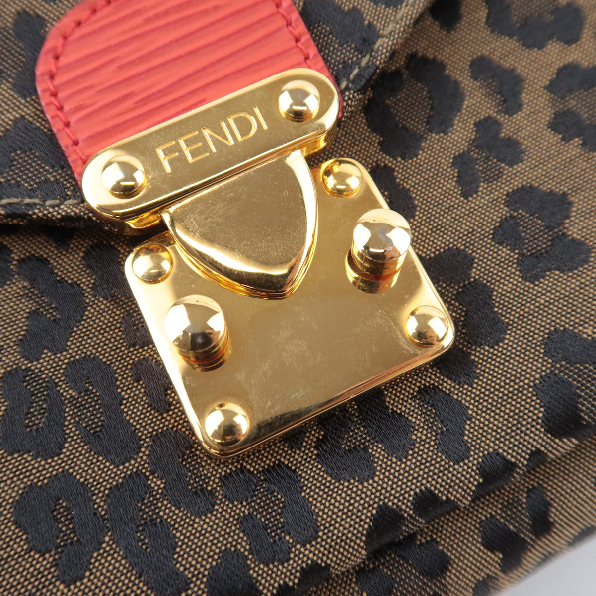 FENDI Leopard Print Canvas Leather Backpack