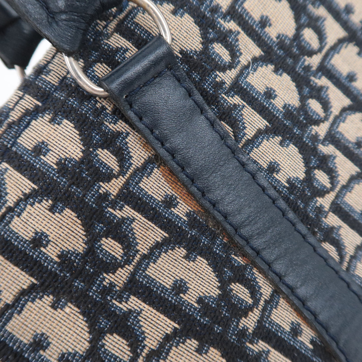 Christian Dior Trotter Canvas Hand Bag