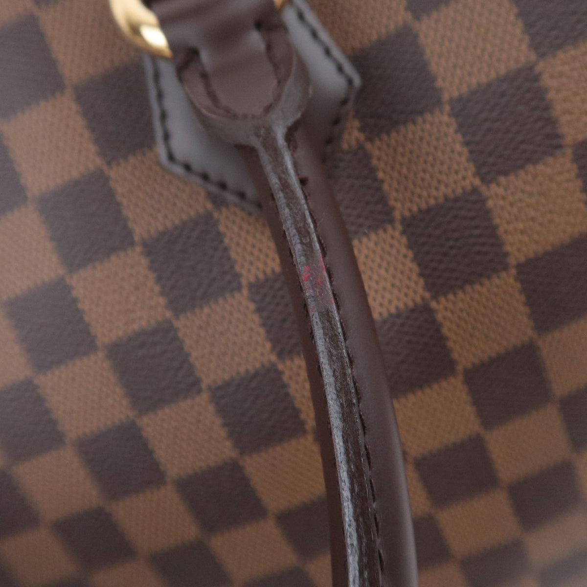 Louis Vuitton Damier Saleya MM Hand Bag N51182