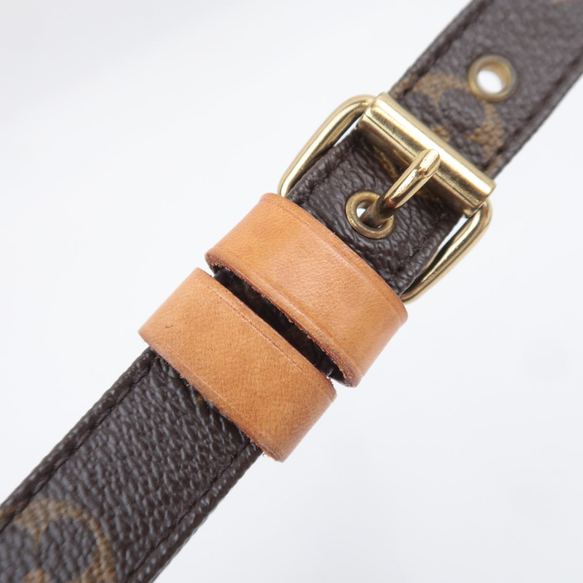 Louis Vuitton Monogram Nile Crossbody Bag M45244