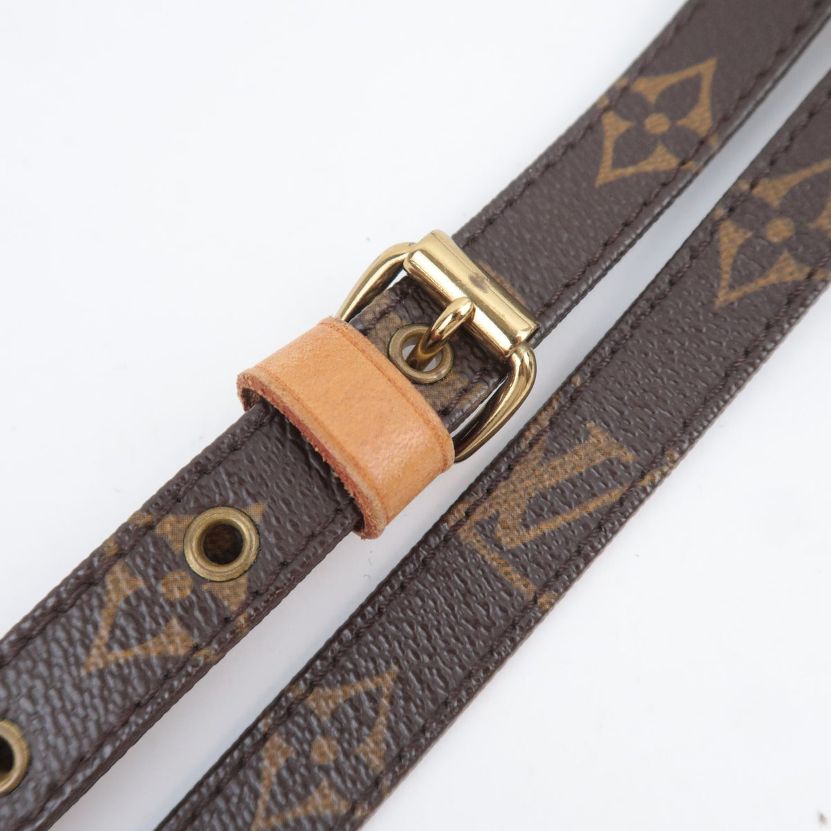 Louis Vuitton Monogram Amazon Shoulder Bag M45236