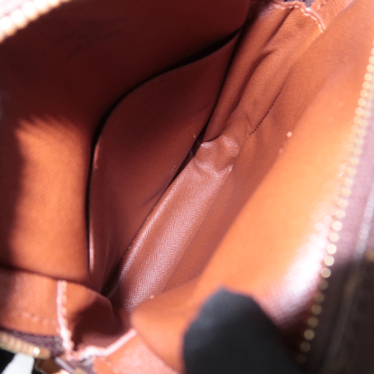 Louis Vuitton Monogram Amazon Shoulder Bag M45236
