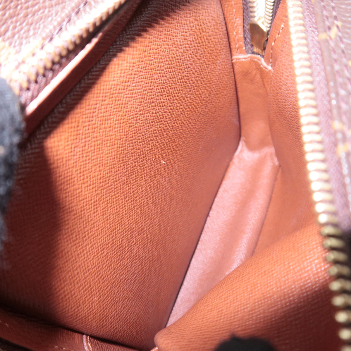 Louis Vuitton Monogram Amazon Shoulder Bag M45236