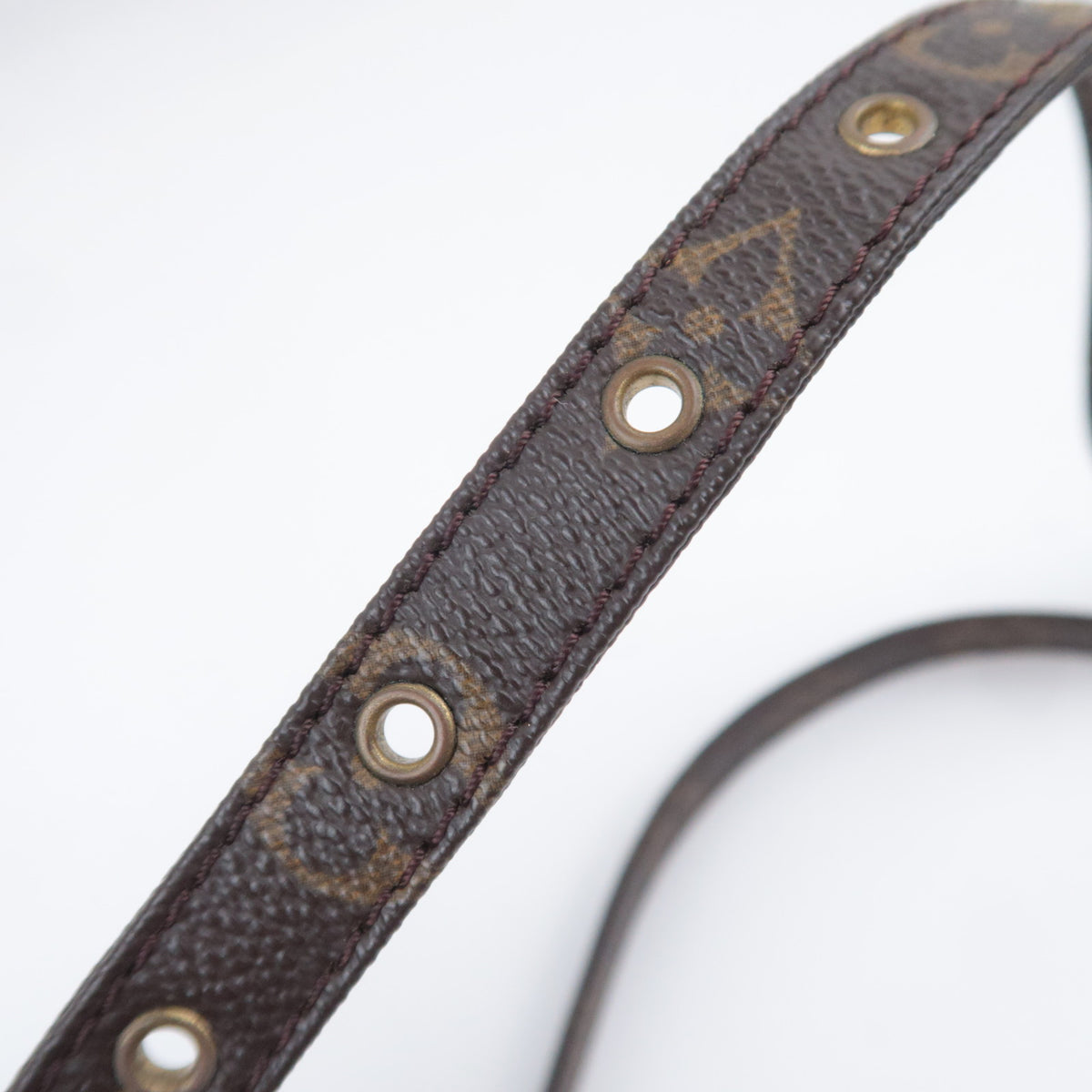 Louis Vuitton Monogram Danube Shoulder Bag M45264