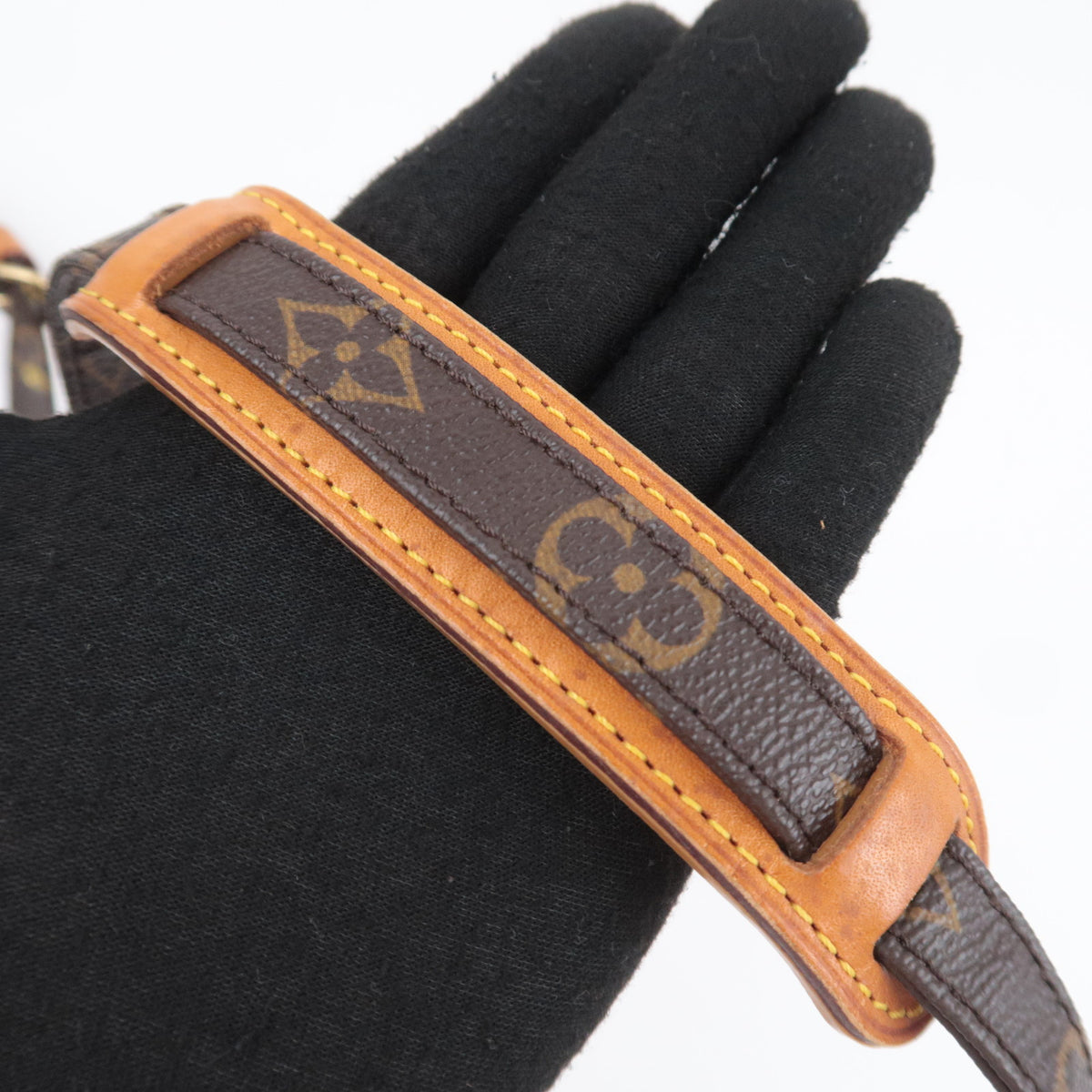 Louis Vuitton Monogram Amazon Shoulder Bag M45236