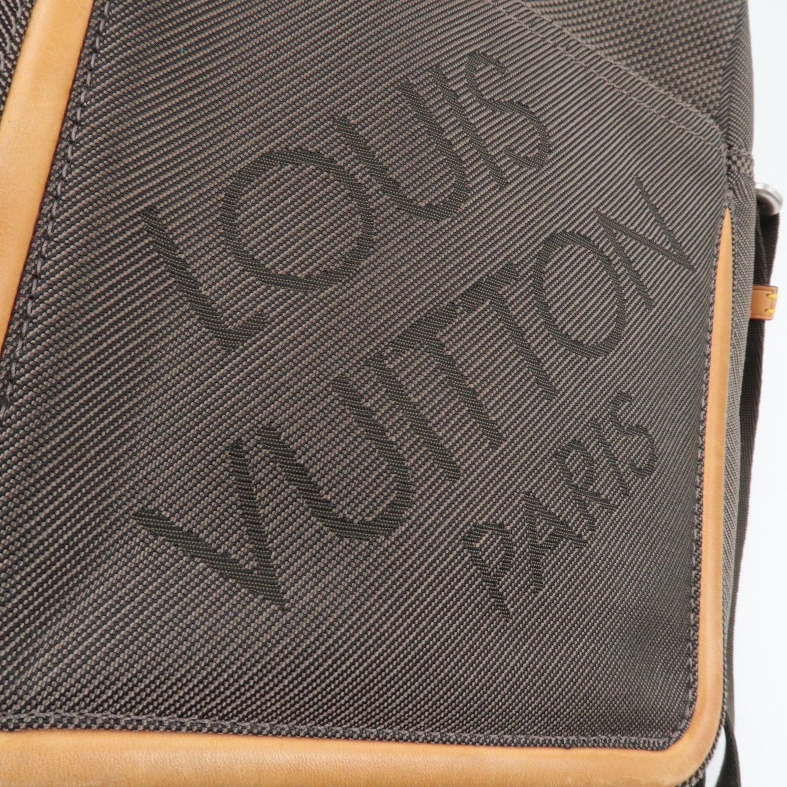 Louis Vuitton Damier Geant Citadin Schoudertas Canvas Tail M93224 SP0016 