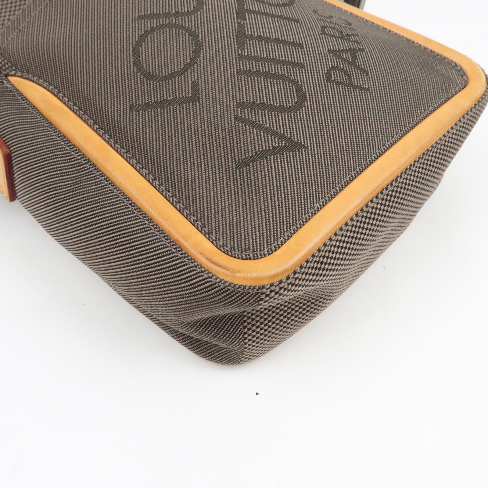 Louis Vuitton Damier Geant Citadin Schoudertas Canvas Tail M93224 SP0016 